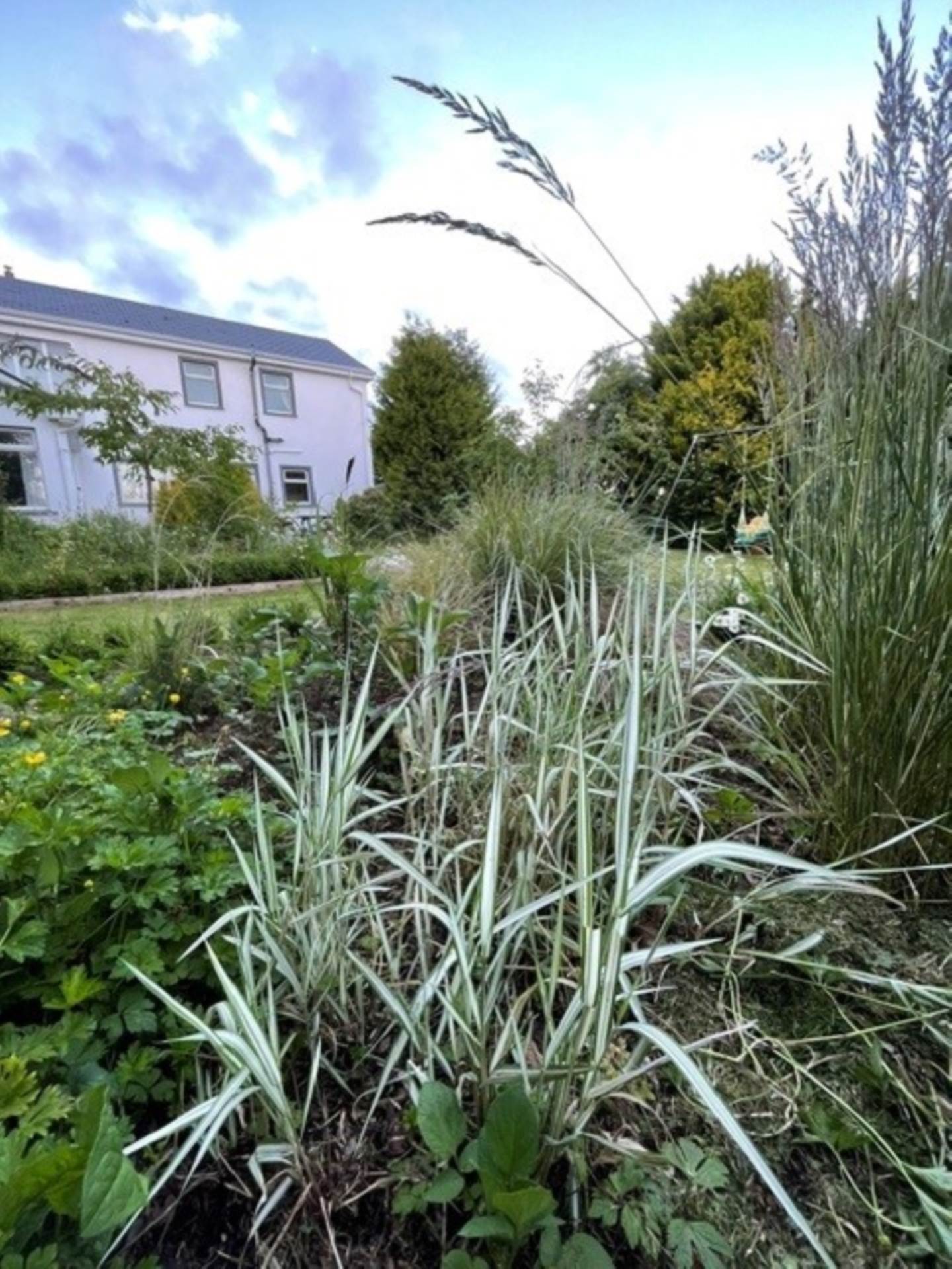 Hollybank House, Carheeney Beg, Gort, Co. Galway, H91 W30E Hollybank House, Carheeney Beg, Gort, Co. Galway, H91 W30E
