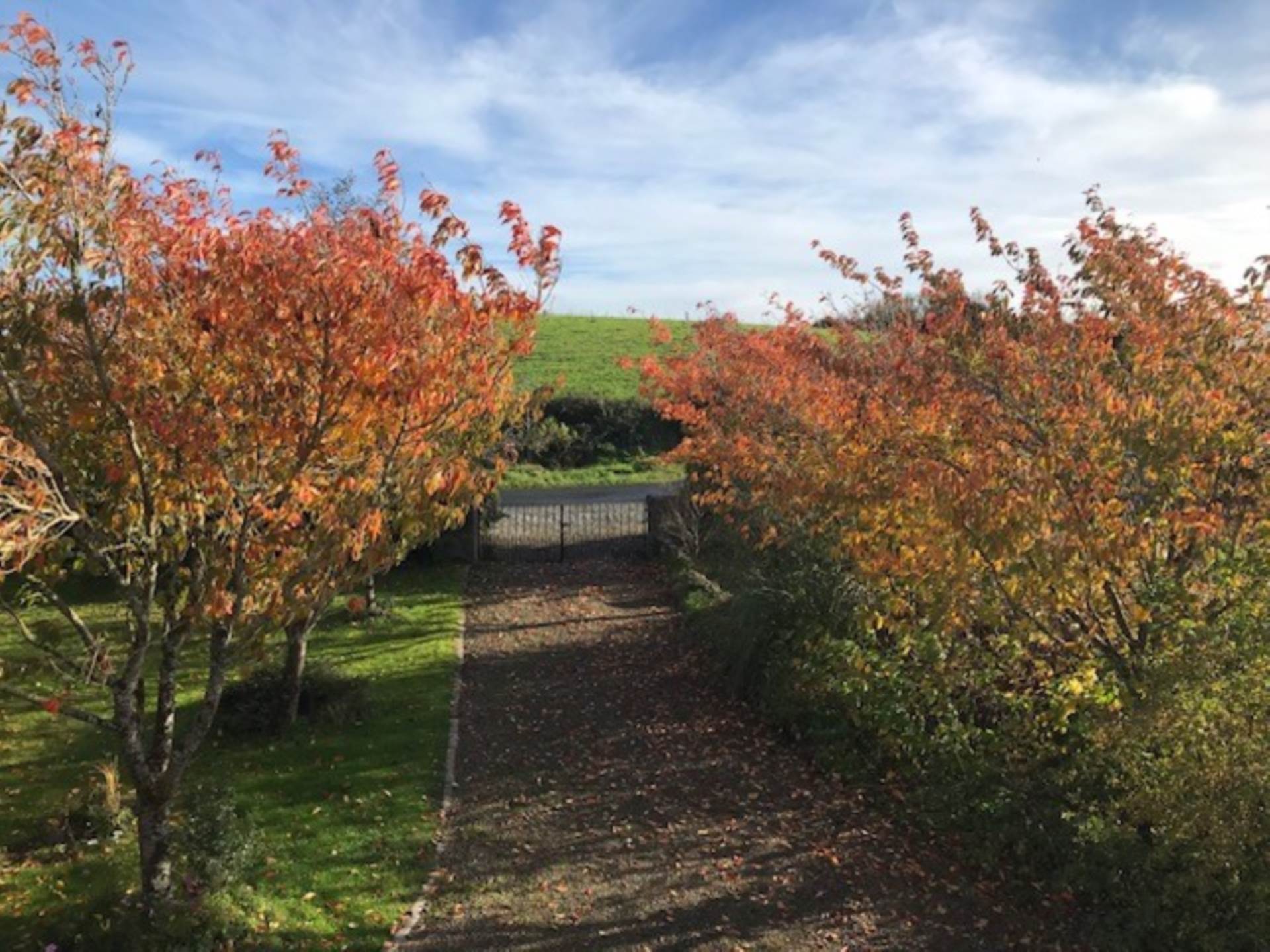 Hollybank House, Carheeney Beg, Gort, Co. Galway, H91 W30E Hollybank House, Carheeney Beg, Gort, Co. Galway, H91 W30E