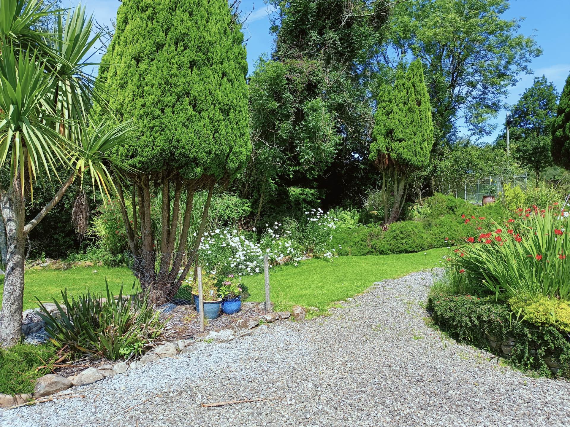 Gortaderra, Scarriff, Co. Clare