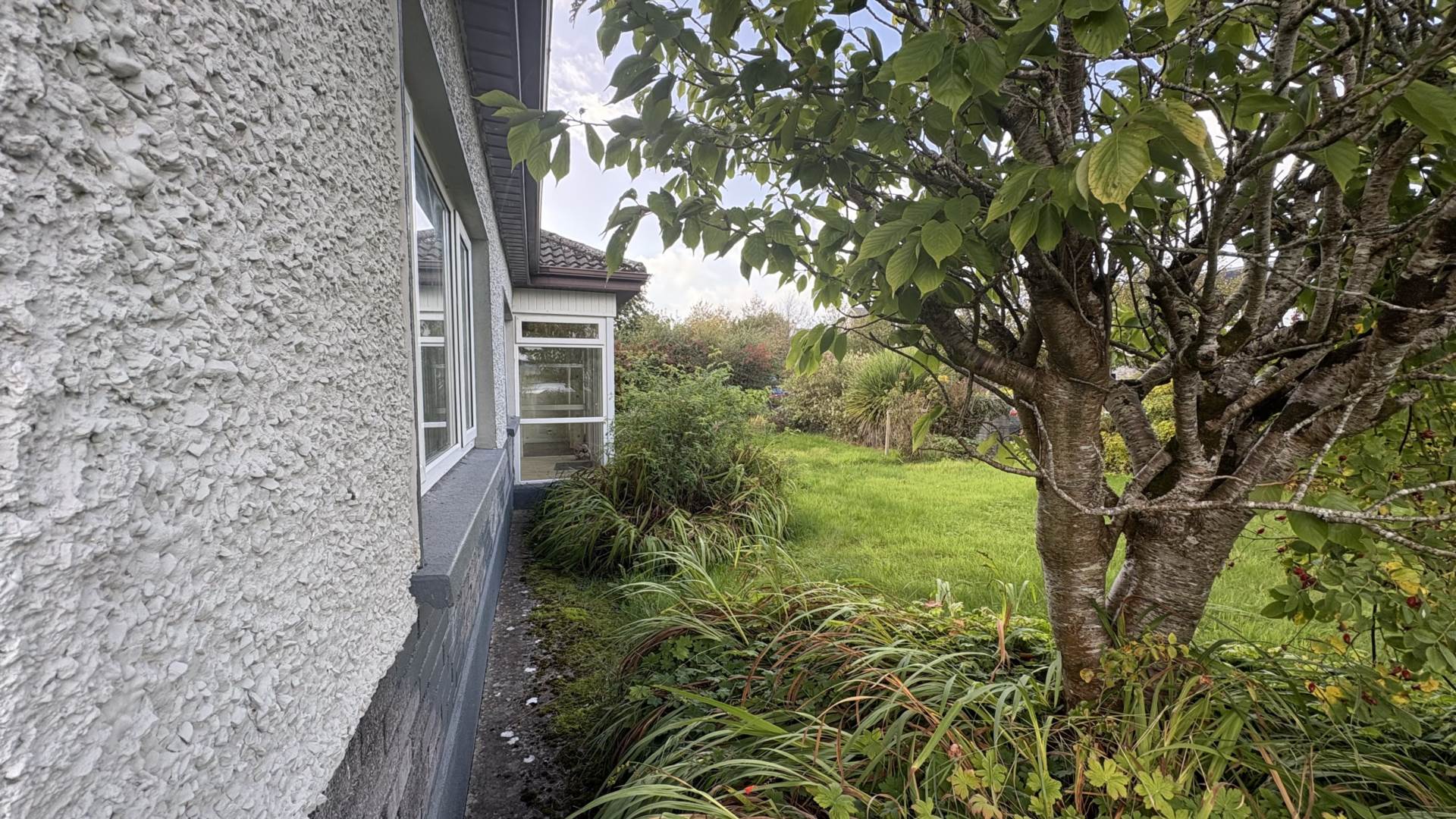 Cartron, Kinvara, Co. Galway