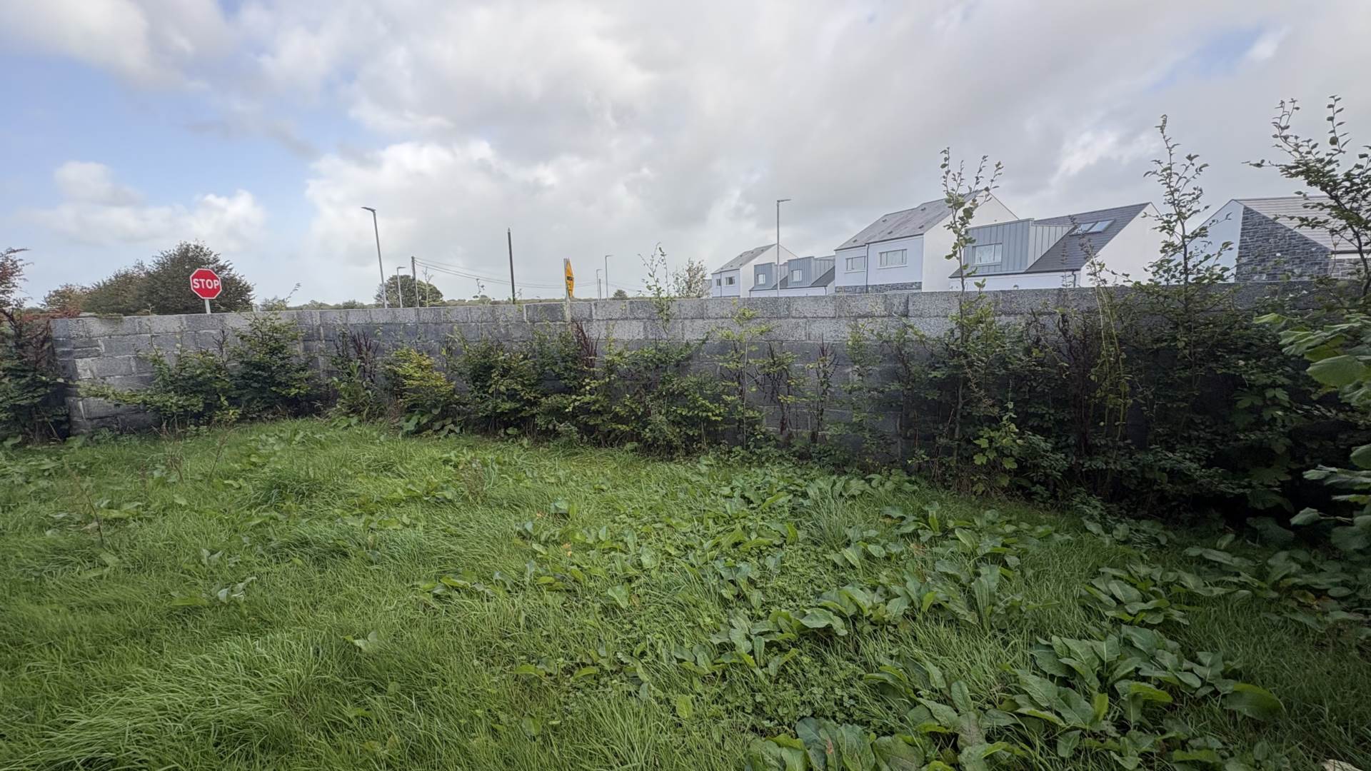 Cartron, Kinvara, Co. Galway