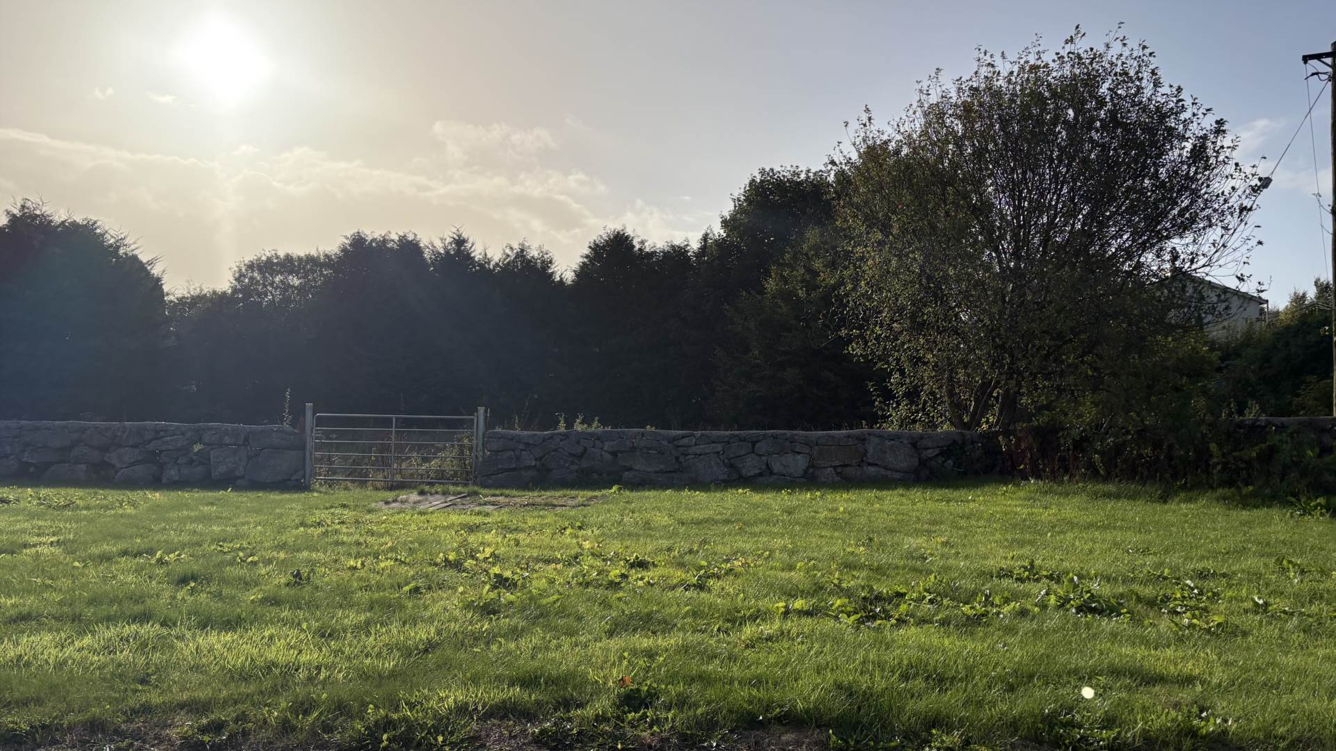 Cartron, Kinvara, Co. Galway