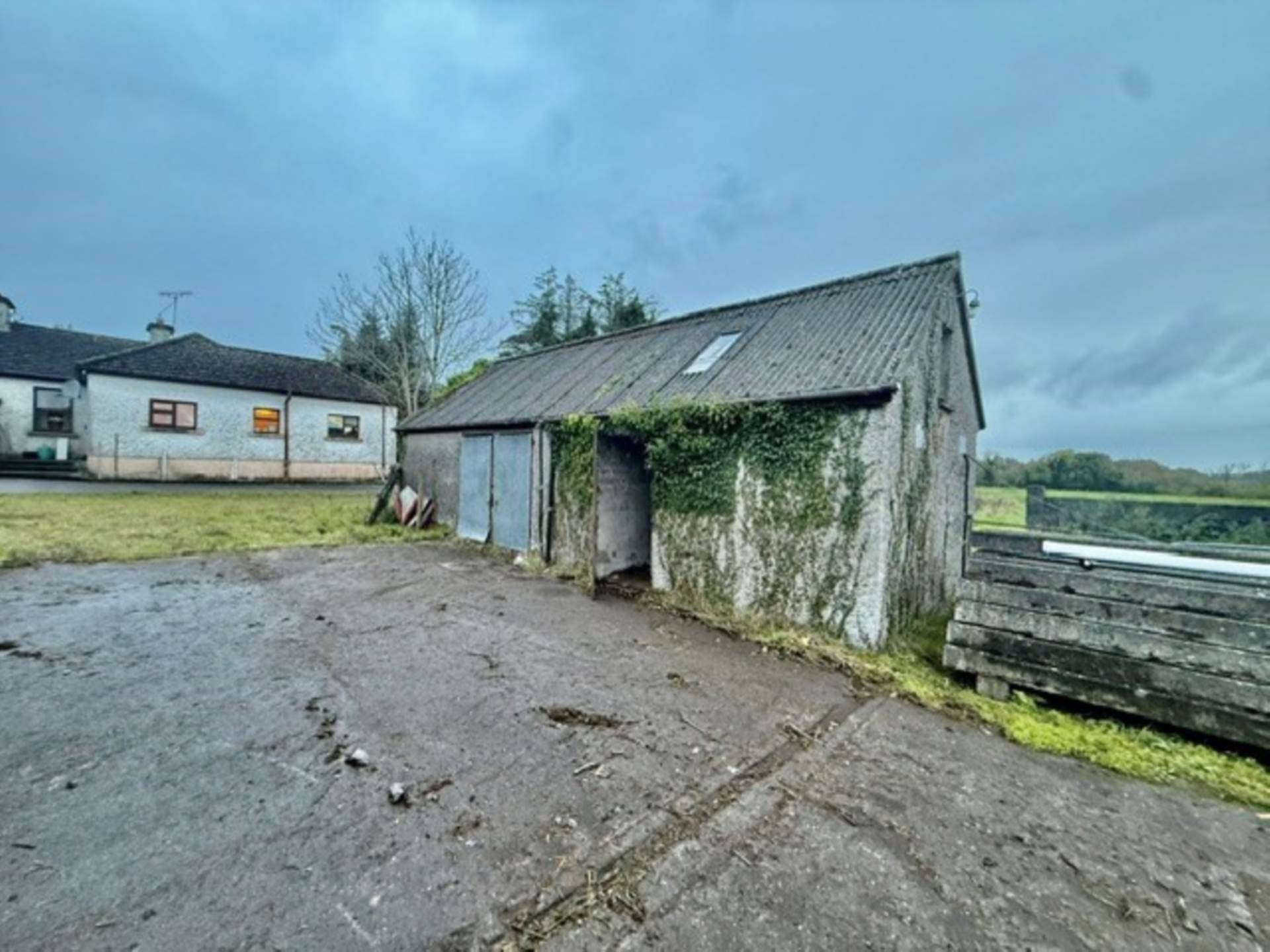 Dalystown, Kylebrack, Loughrea, Co. Galway
