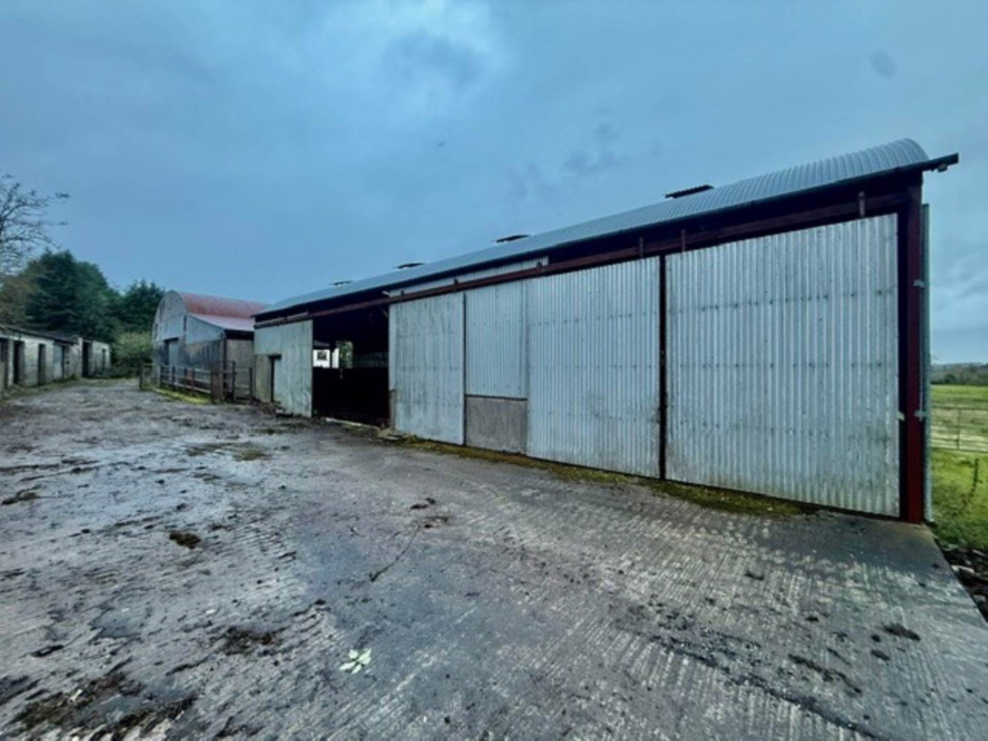 Dalystown, Kylebrack, Loughrea, Co. Galway