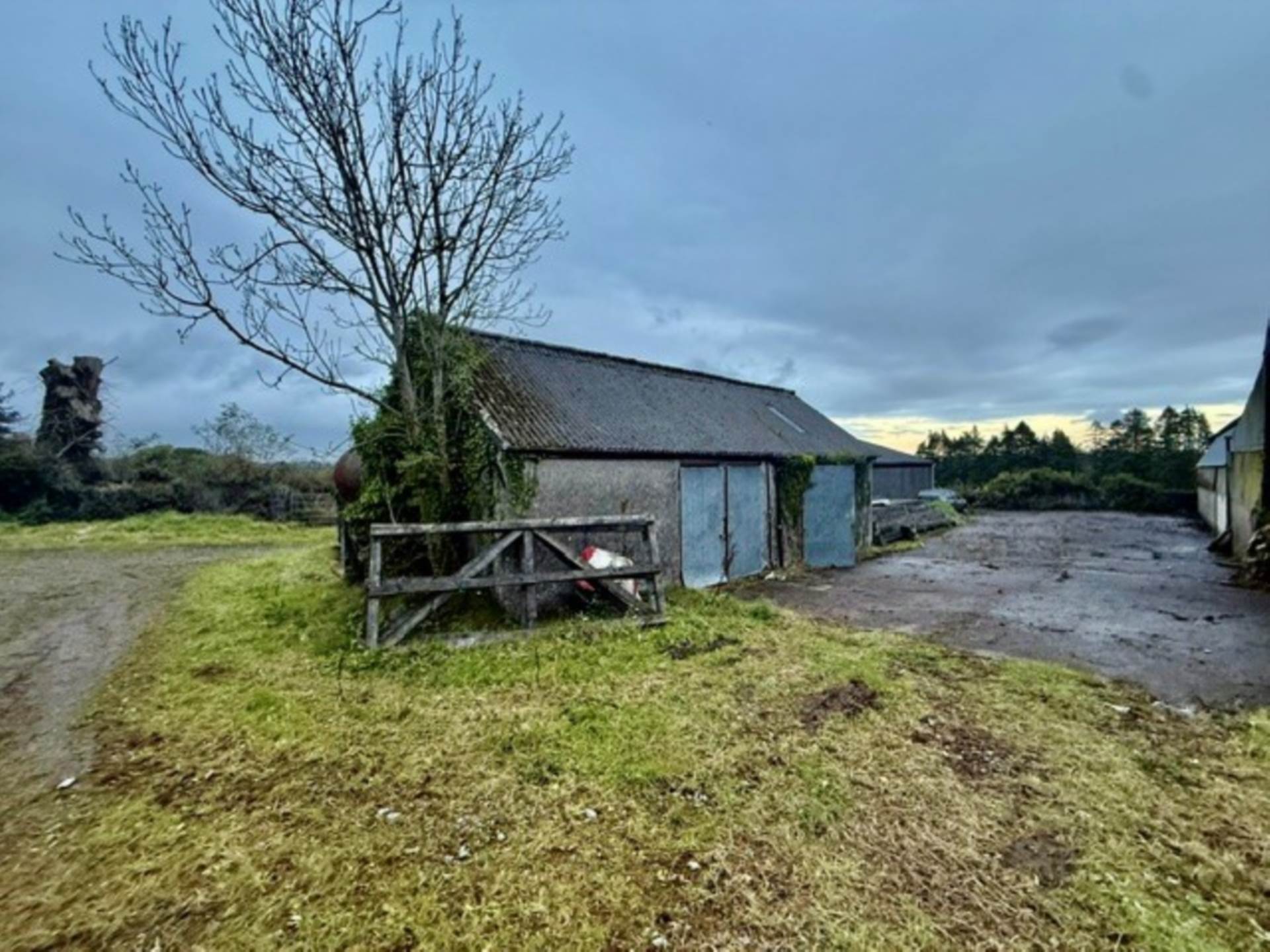 Dalystown, Kylebrack, Loughrea, Co. Galway