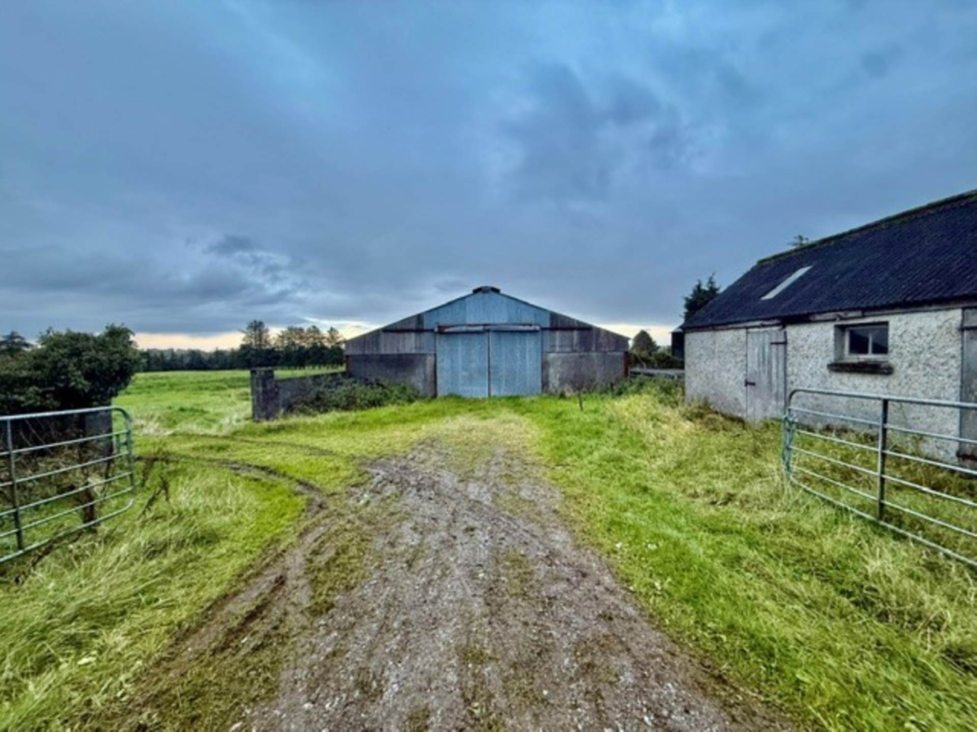 Dalystown, Kylebrack, Loughrea, Co. Galway