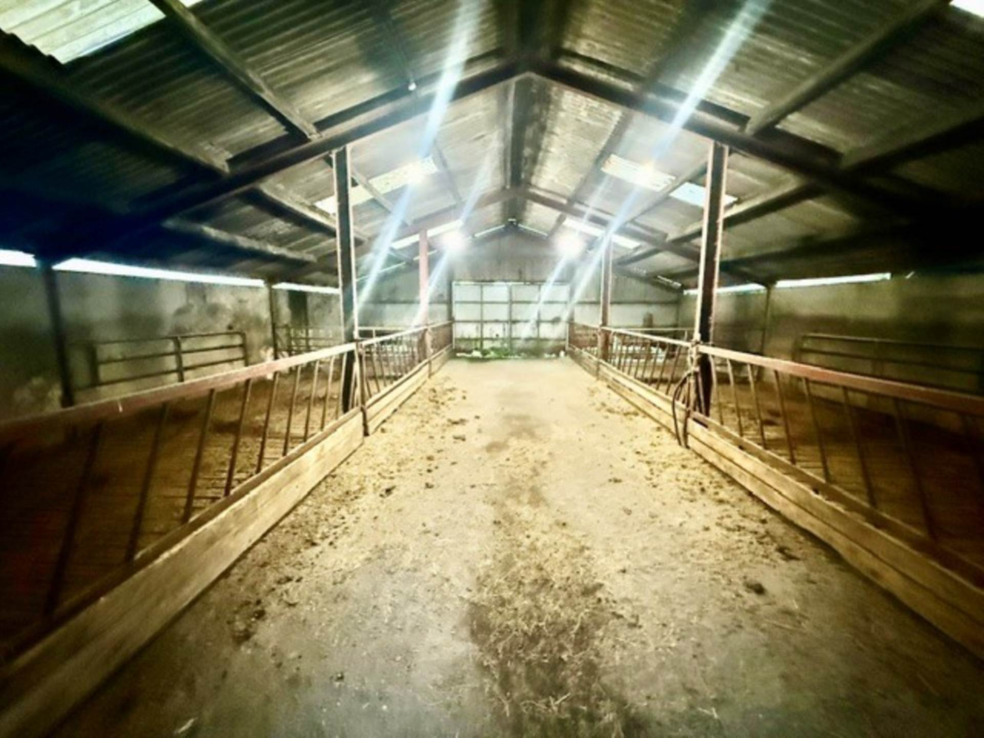 Dalystown, Kylebrack, Loughrea, Co. Galway