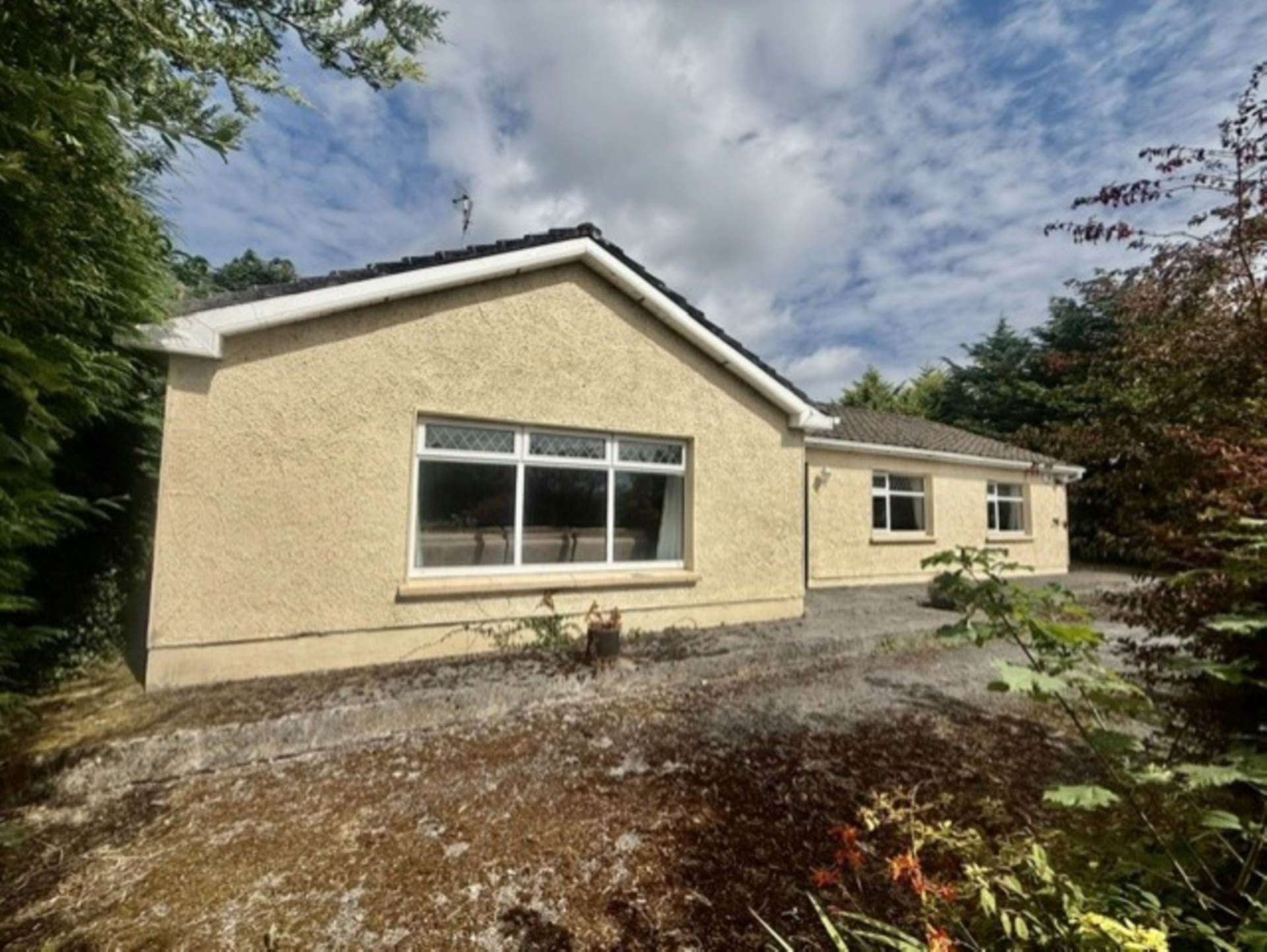 Killeely More, Kilcolgan, Co. Galway, H91 W7KH