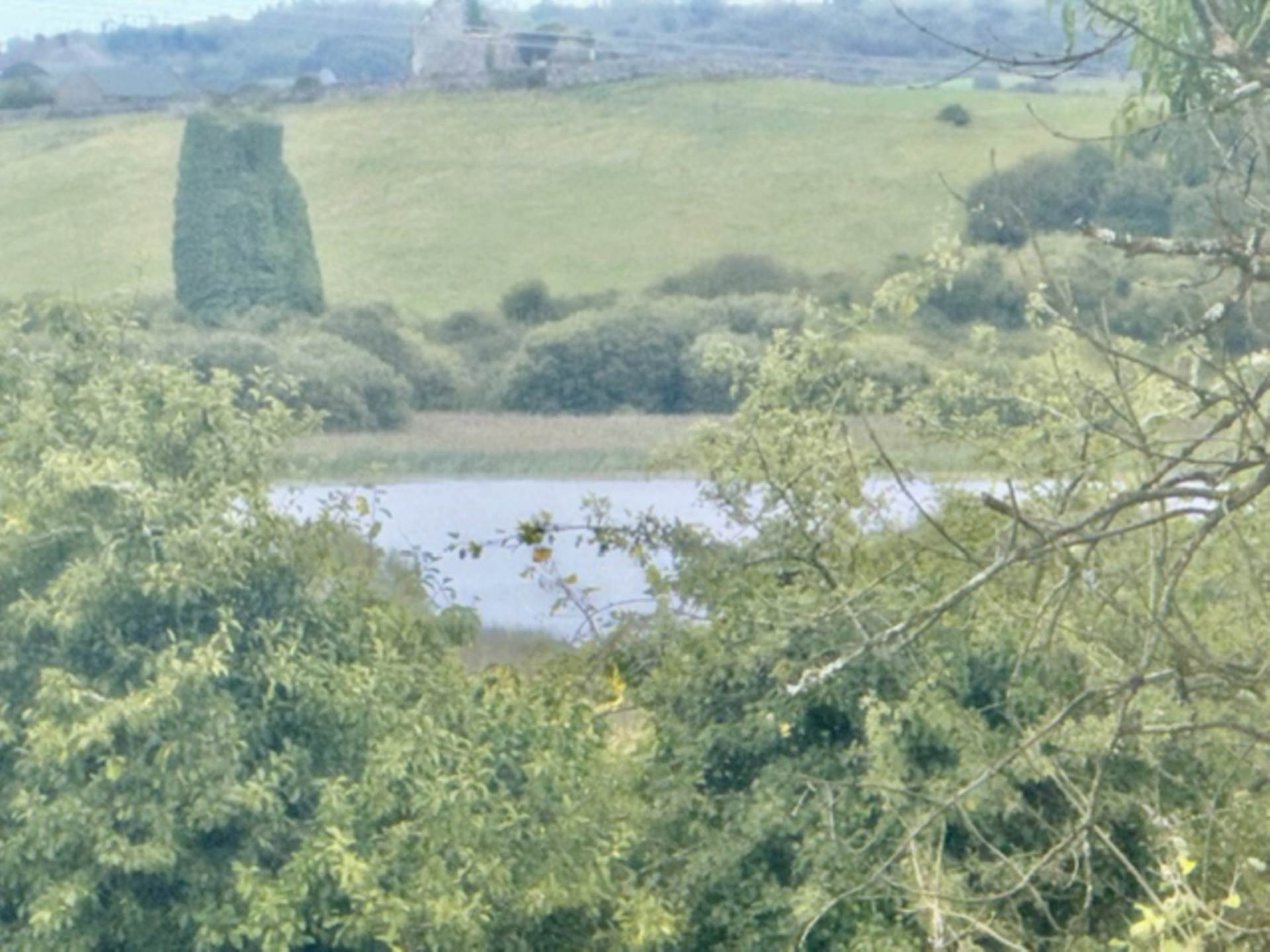 Roxton, Corofin, Co. Clare, V95 T9K7