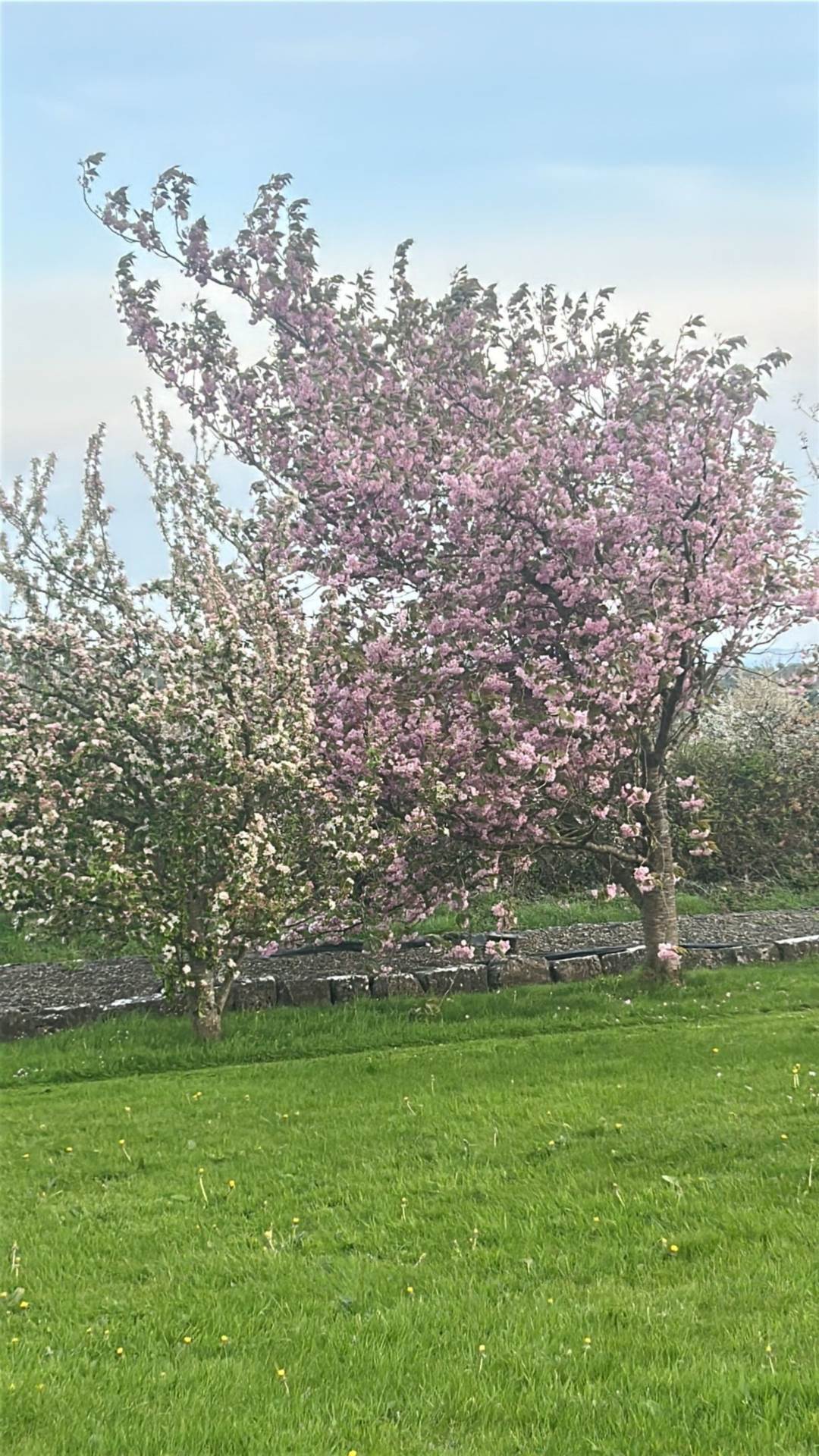 Dromorehill, Peterswell, Gort, Co. Galway, H91 VAX5