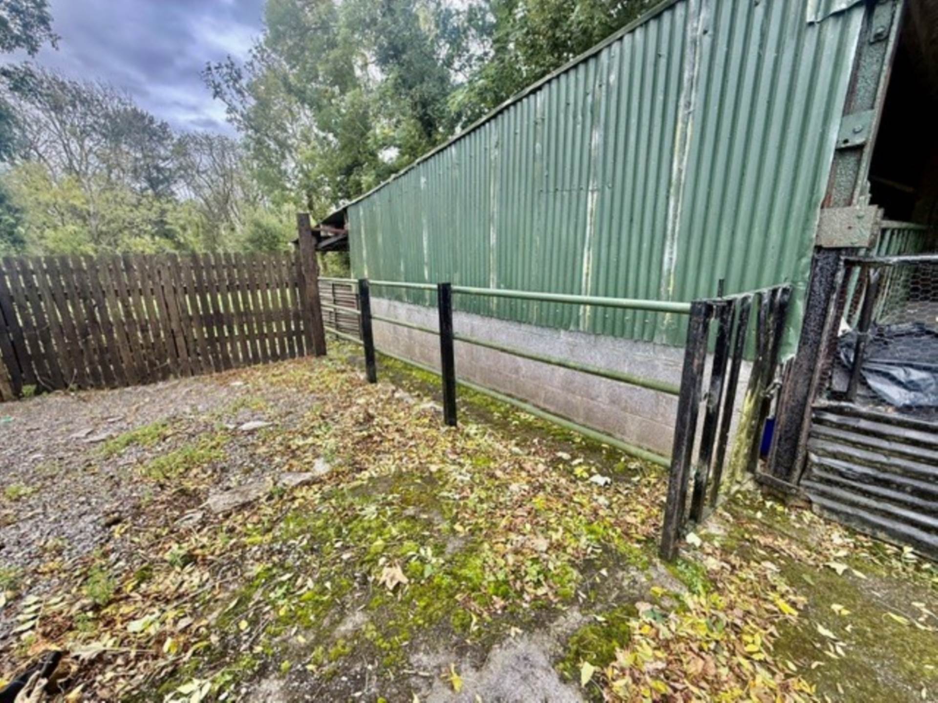 Roo, Gort, Co. Galway, H91 E4C0