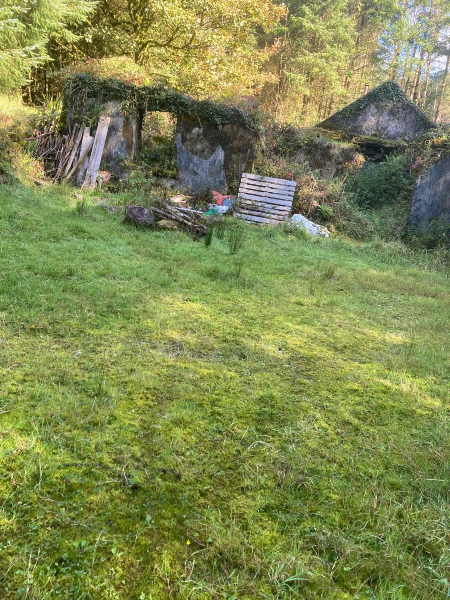 Bunnaglass, Gort, Co. Galway