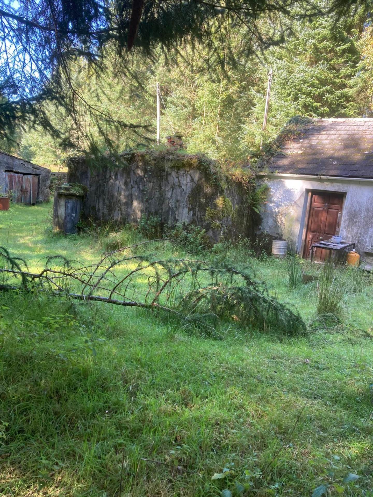 Bunnaglass, Gort, Co. Galway