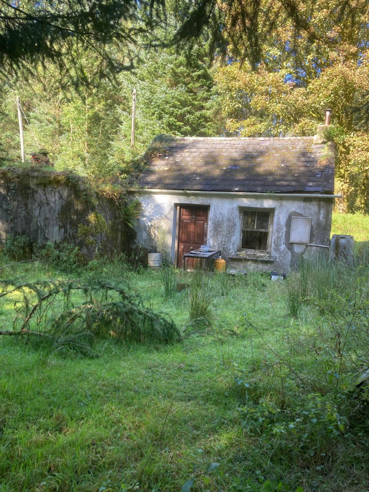Bunnaglass, Gort, Co. Galway