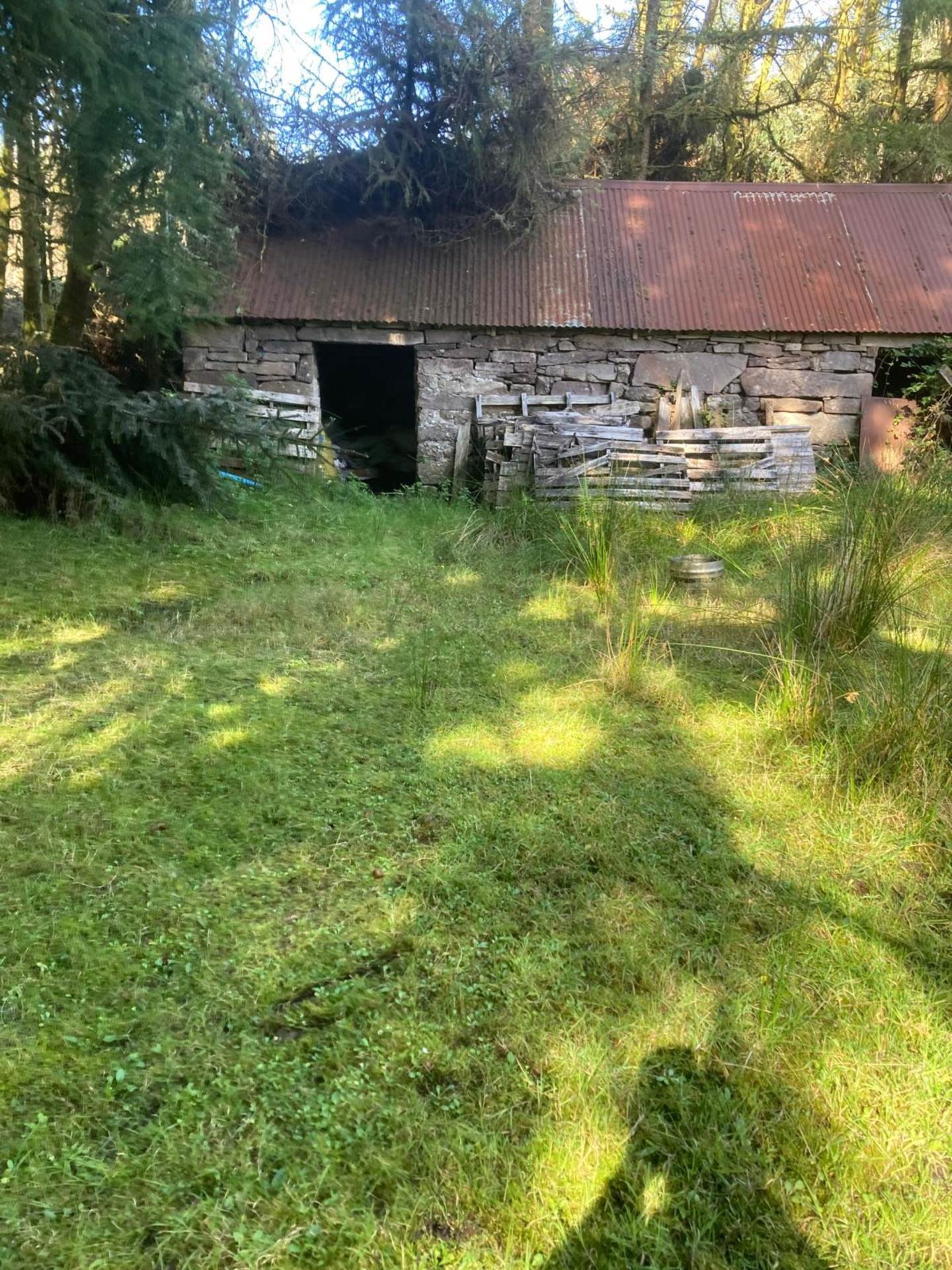 Bunnaglass, Gort, Co. Galway