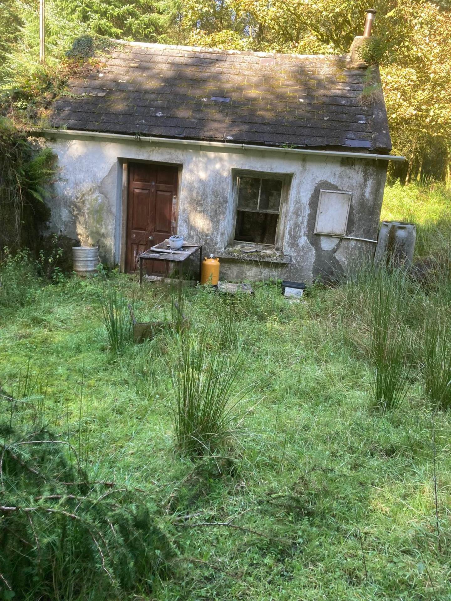 Bunnaglass, Gort, Co. Galway