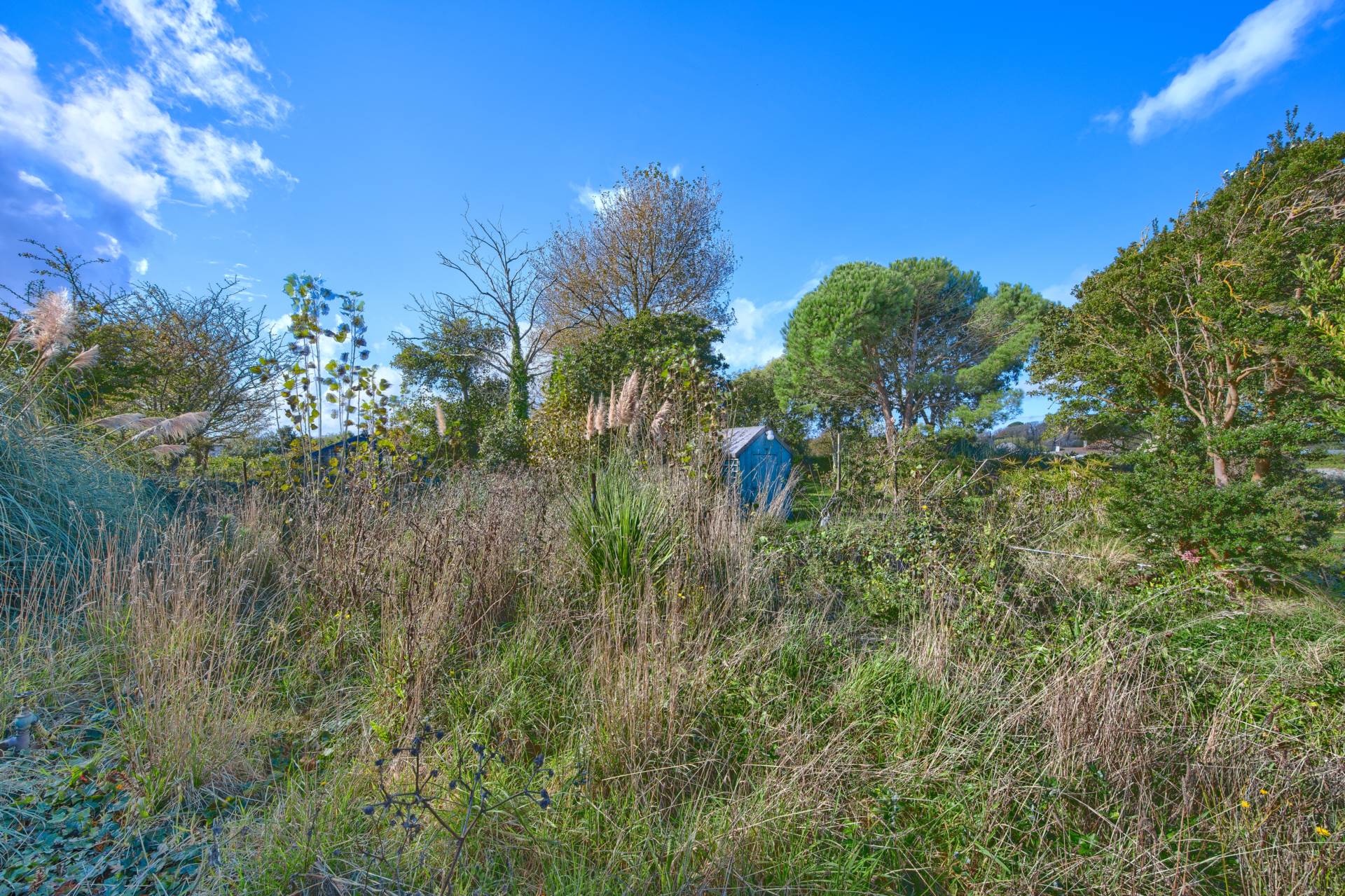 Mon Desir, Rue Sauvage, St Sampson, Image 6