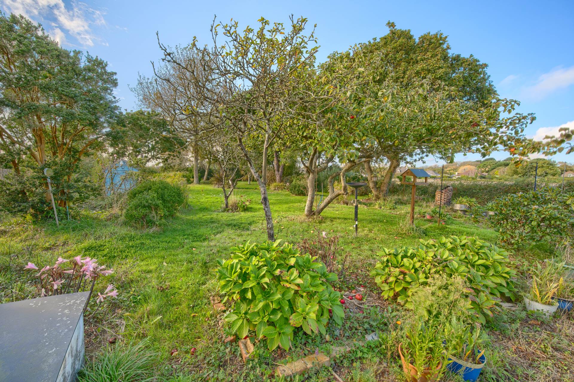 Mon Desir, Rue Sauvage, St Sampson, Image 8