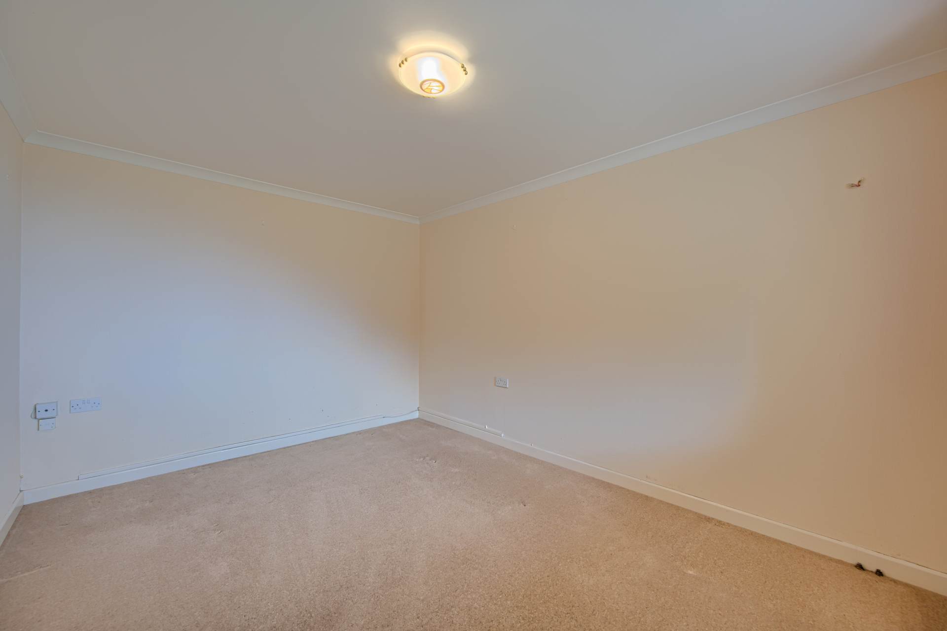 Maukito, Havelet, St Peter Port, Image 4