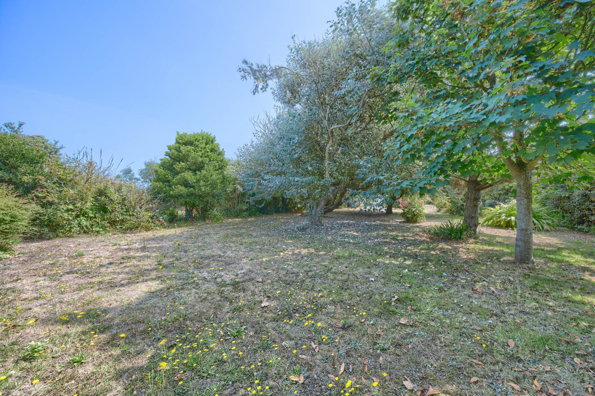 La Rue Du Crocq, St Saviour, Image 28