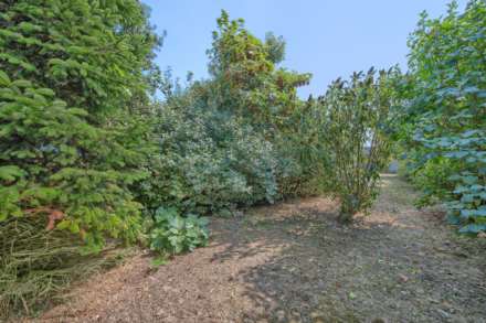 La Rue Du Crocq, St Saviour, Image 29