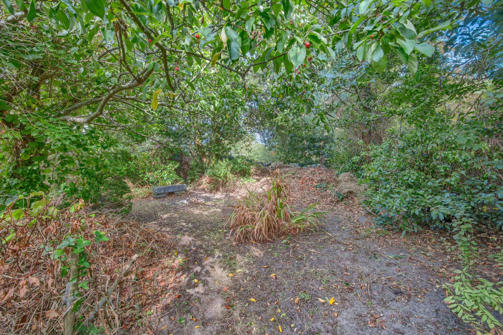 Furzedown, Les Tracheries Road, St Sampson, Image 30