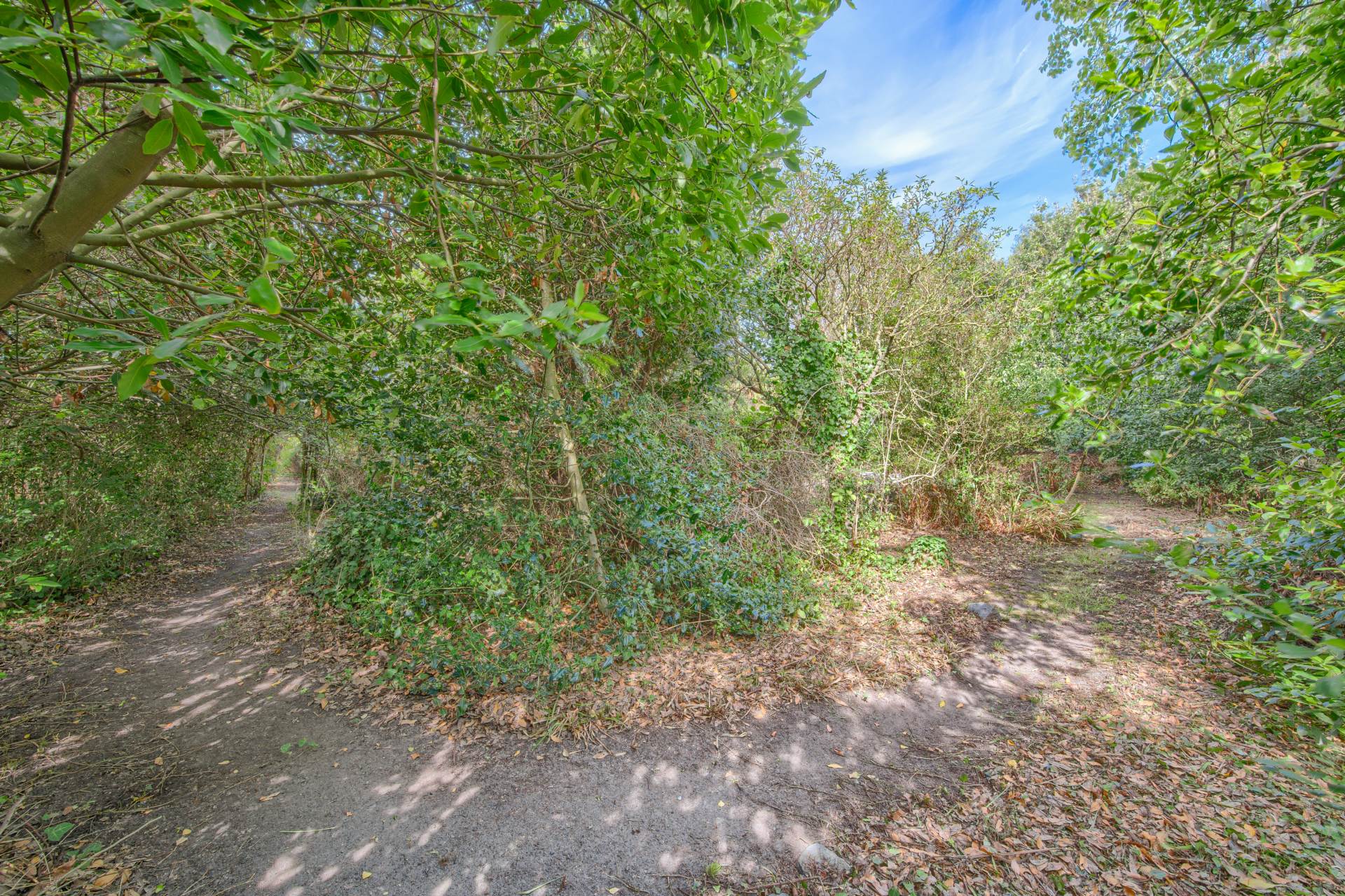 Furzedown, Les Tracheries Road, St Sampson, Image 32