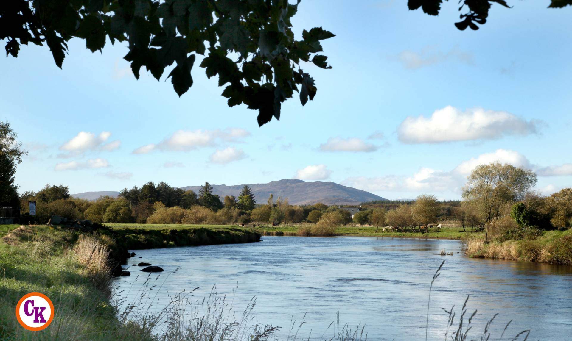 Currinara Foxford Mayo
