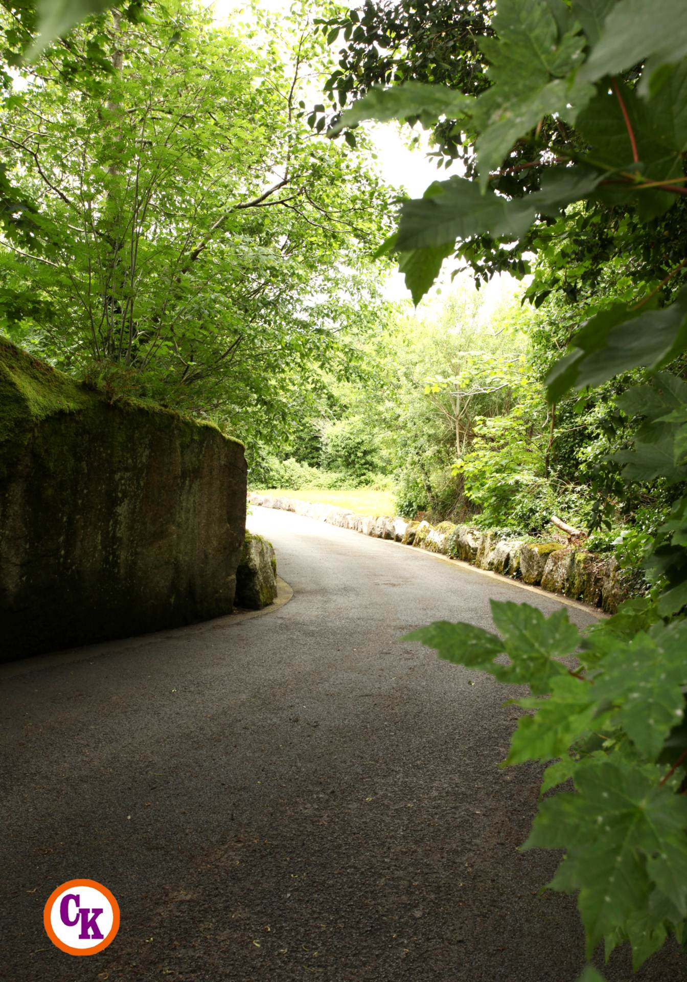 Currinara Foxford Mayo