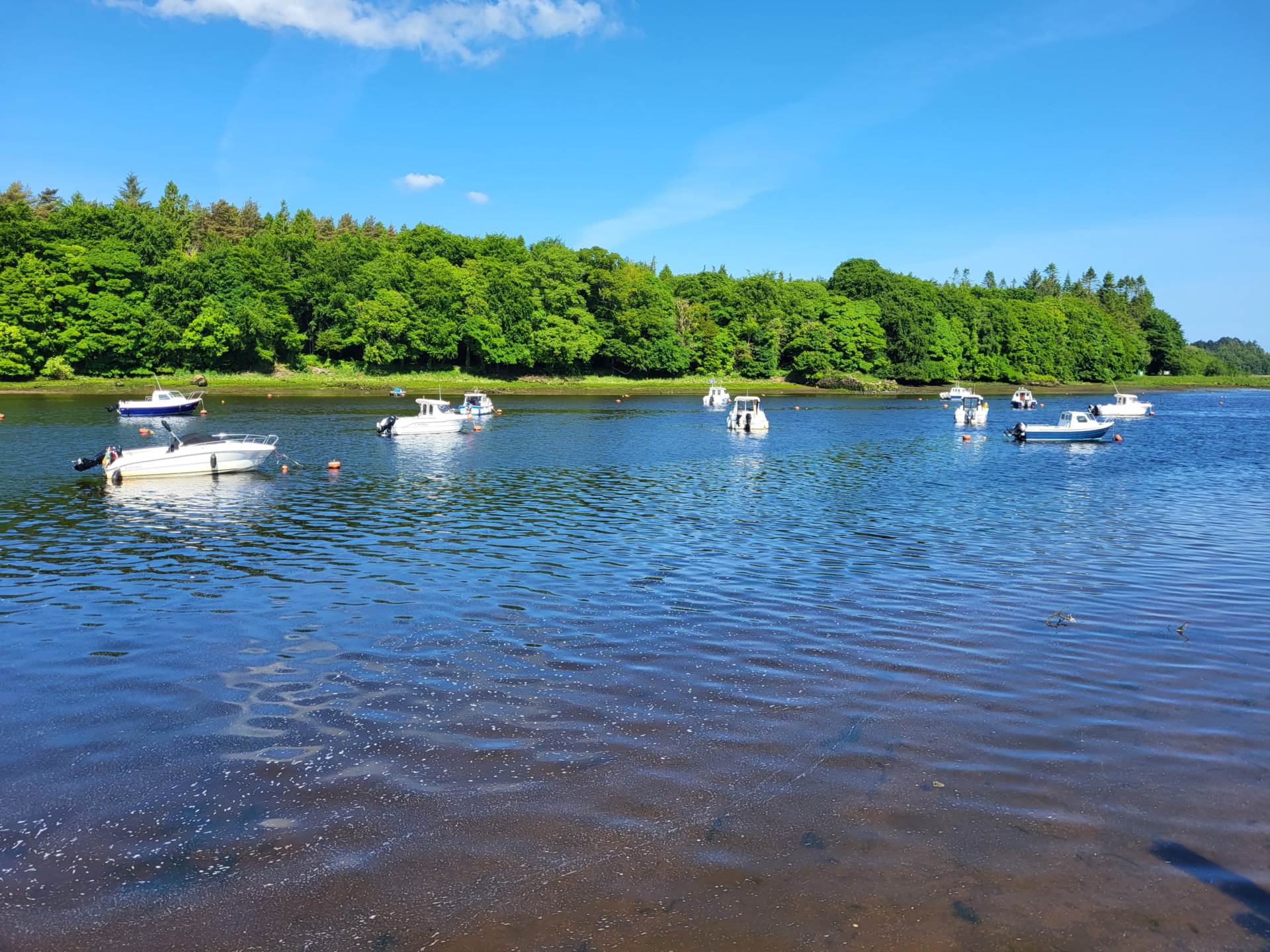 40 Oaklawn Killala Road 40 Oaklawn Killala Road