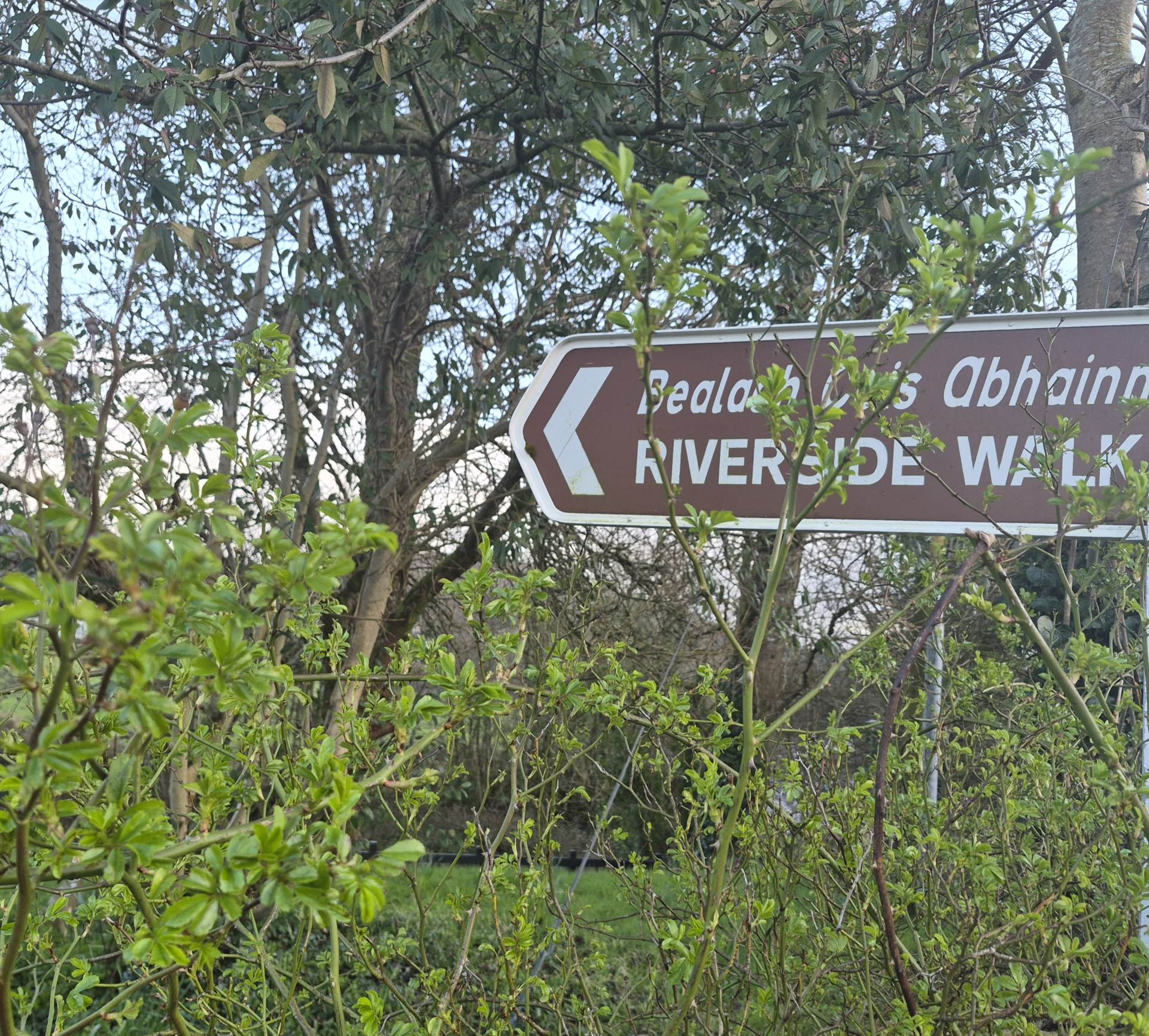 57 RADHARC NA HaBHAINN COOLANEY 57 RADHARC NA HaBHAINN COOLANEY