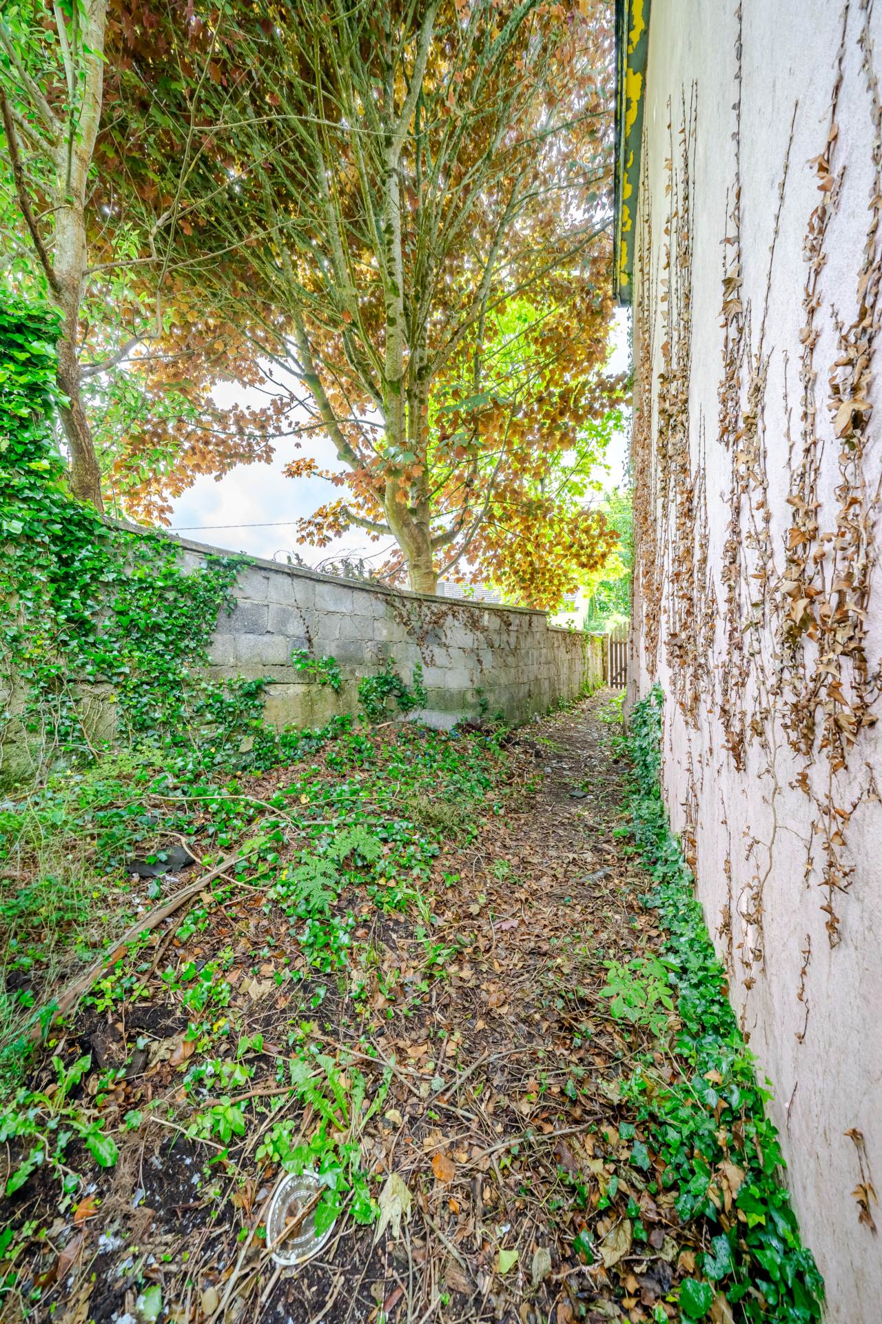 Davitt Street Foxford End Terrace Davitt Street Foxford End Terrace