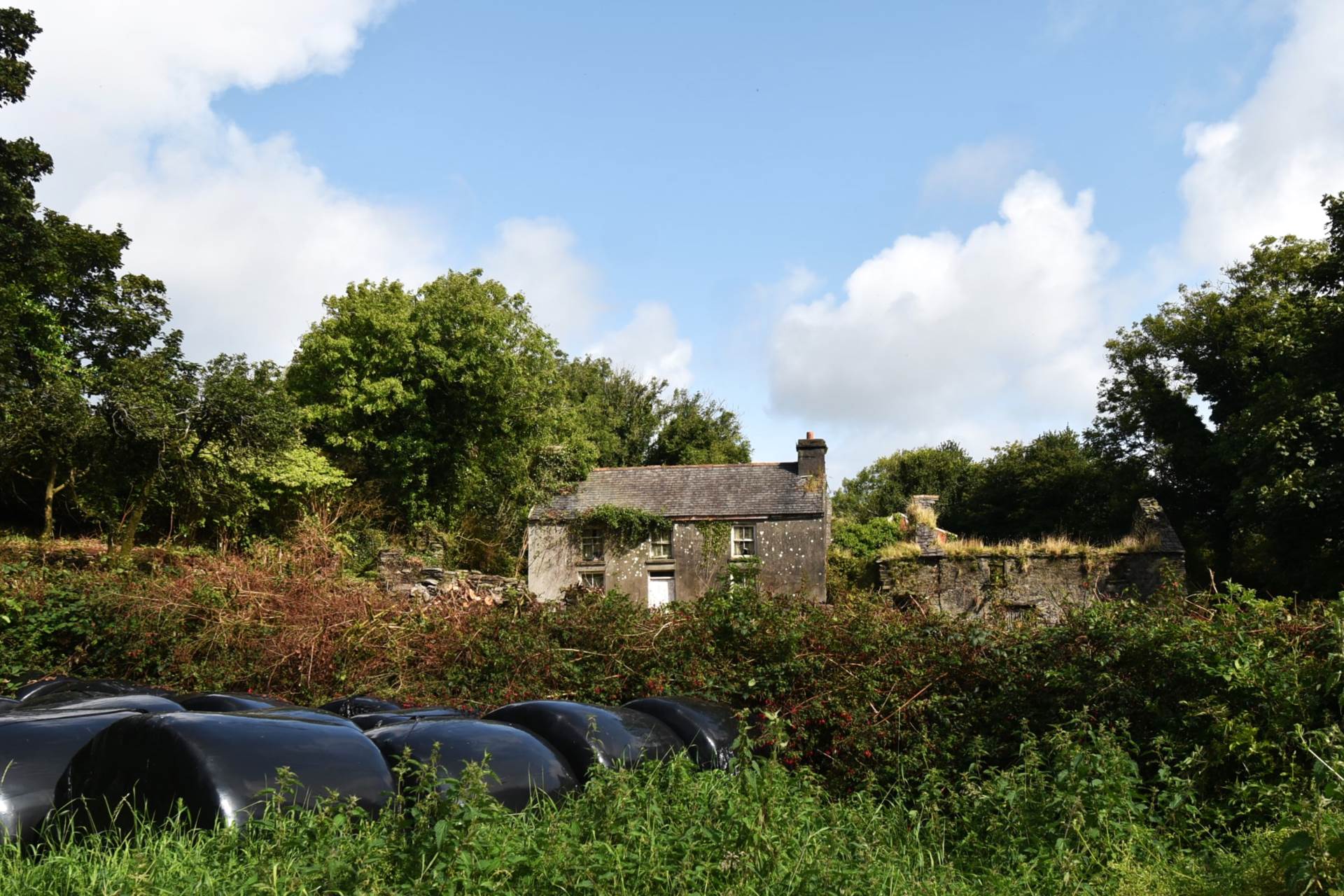 Cappaghbeg, Ballydehob, P00 0000