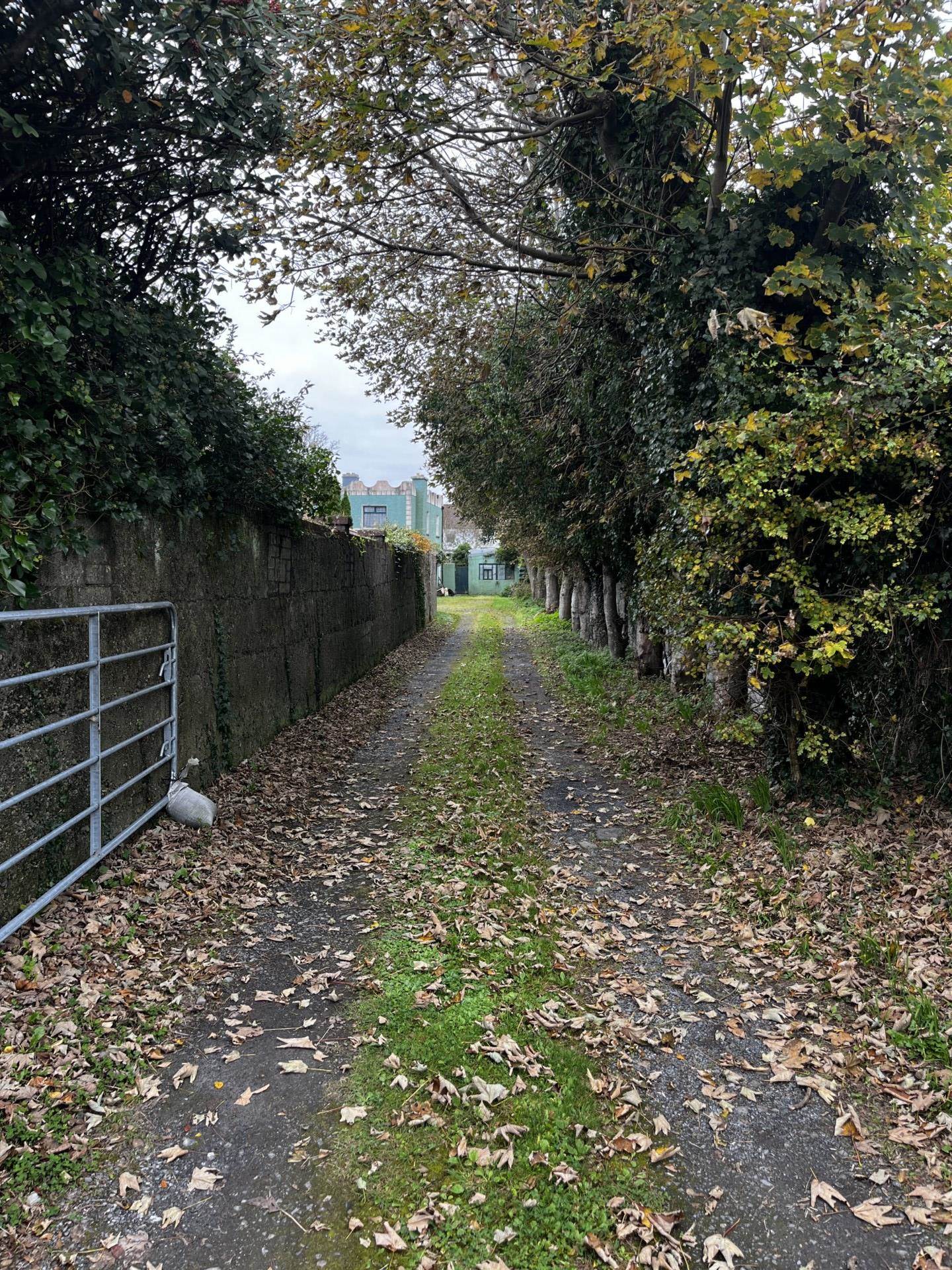 Glenville, Maunsells Road, Galway. H91 WYH2