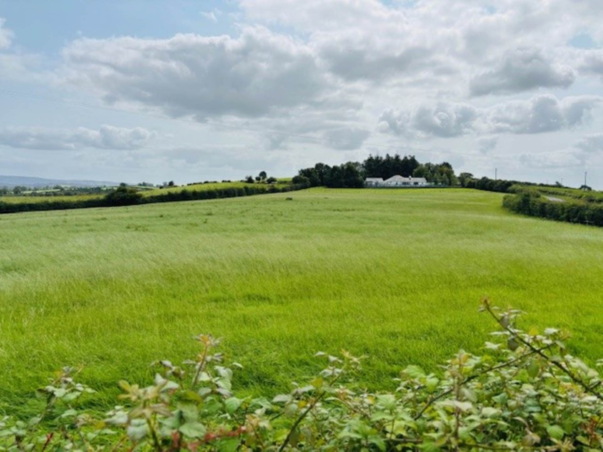 Deerpark, Kilmurry, Sixmilebridge, Co. Clare