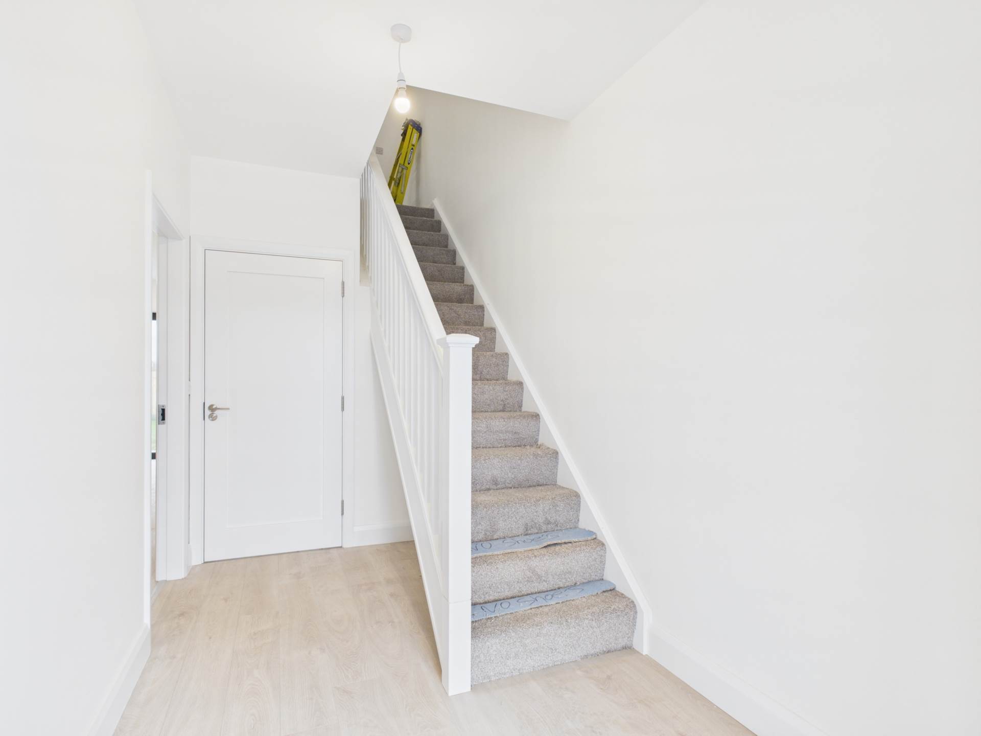 Moinear Na Darach, Quin V95 KPN8 Moinear Na Darach, Quin V95 KPN8