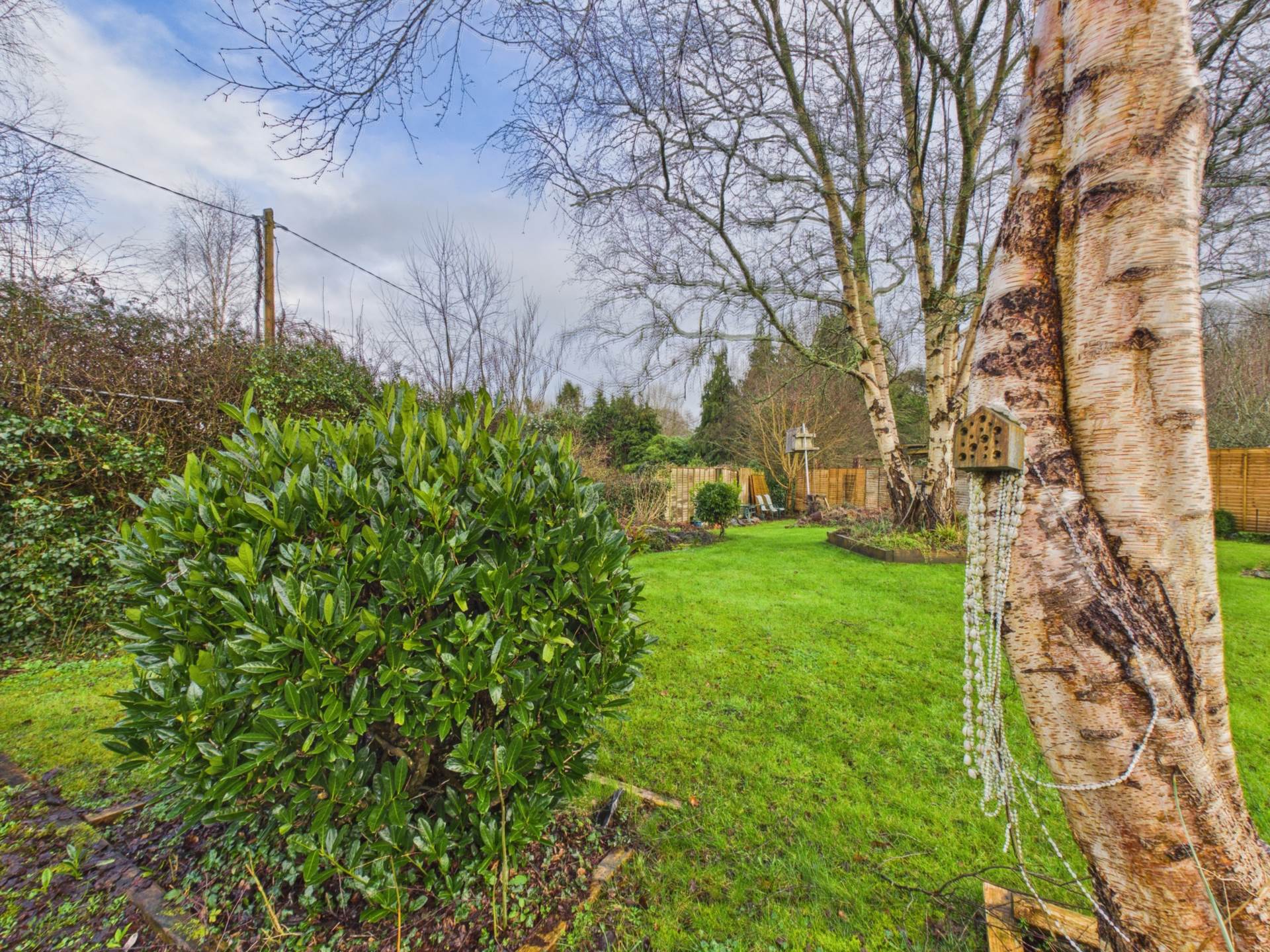 Bunglas, Deerpark, Bunratty, Sixmilebridge, Co. Clare V95X3P3