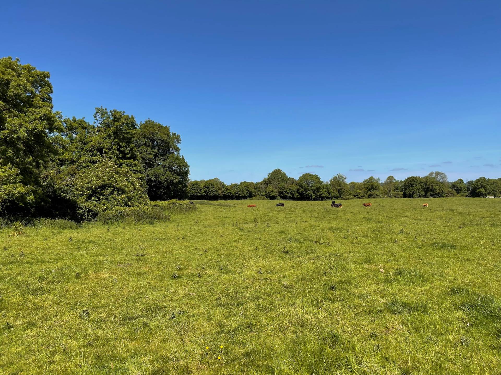 Drumquin, Tiermaclane, Ennis, Co. Clare