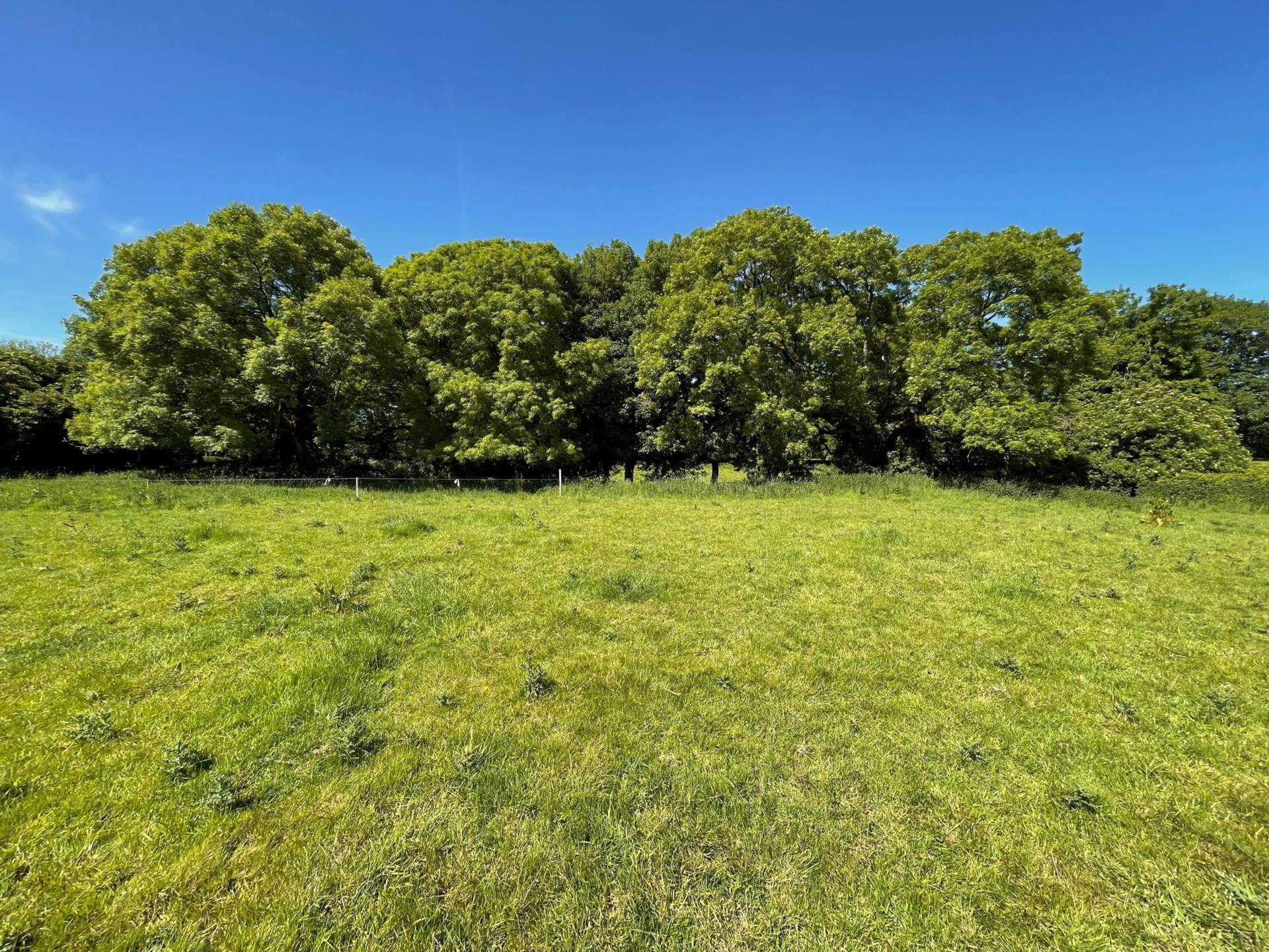 Drumquin, Tiermaclane, Ennis, Co. Clare