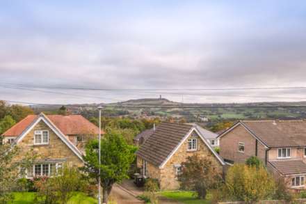Beagle Ave, Beaumont Park, Image 11