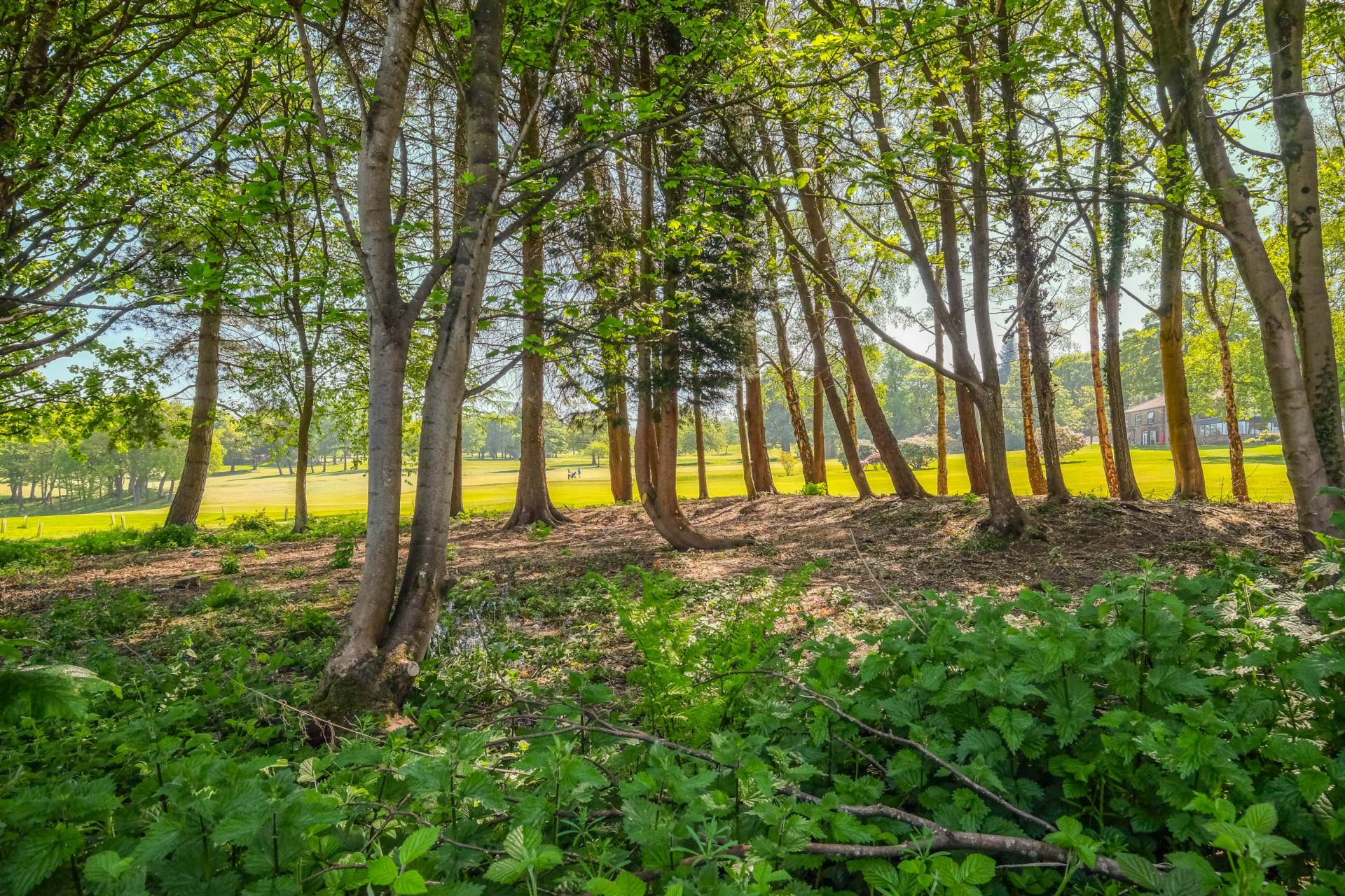 Thick Hollins Drive, Meltham, Image 14