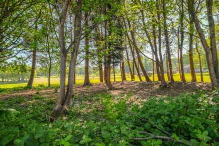 Thick Hollins Drive, Meltham, Image 14