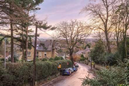 Ridings Fields, Brockholes, Image 23