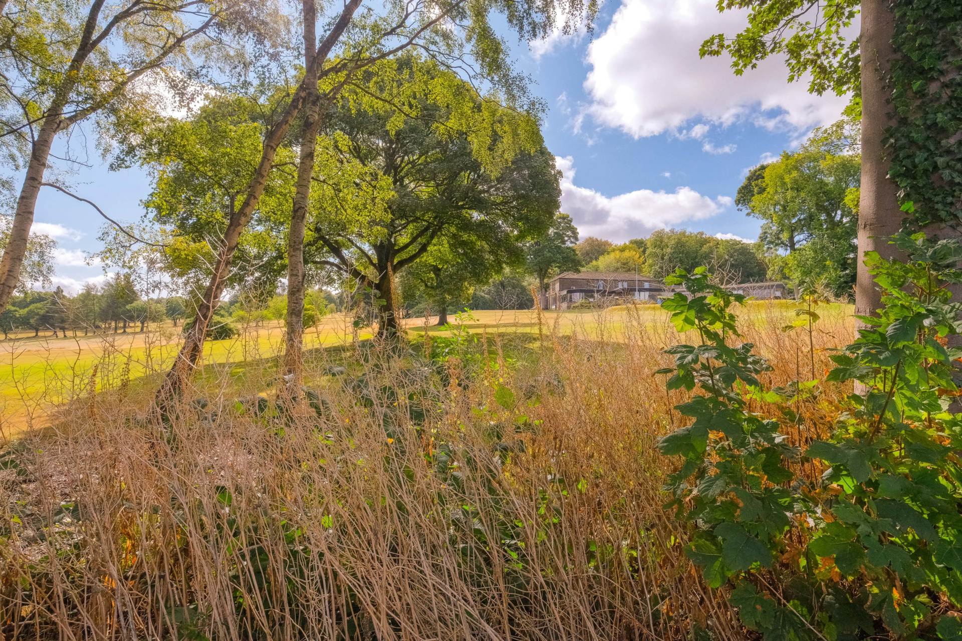 Thick Hollins, Meltham, Image 21