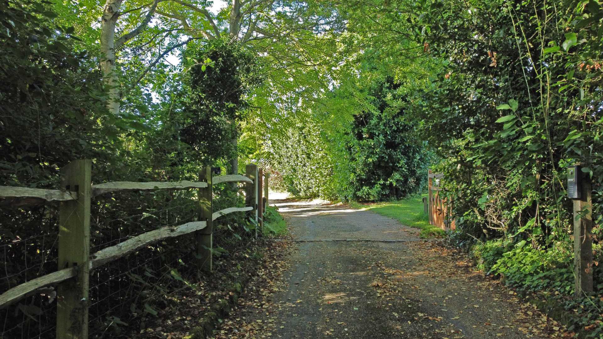 Newhaven Road, Rodmell, Image 46