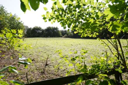 Land, Wellgreen Lane, Kingston