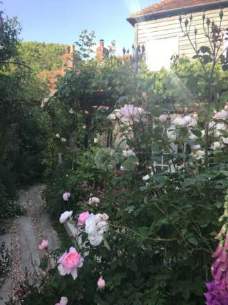 Piddinghoe, Image 27