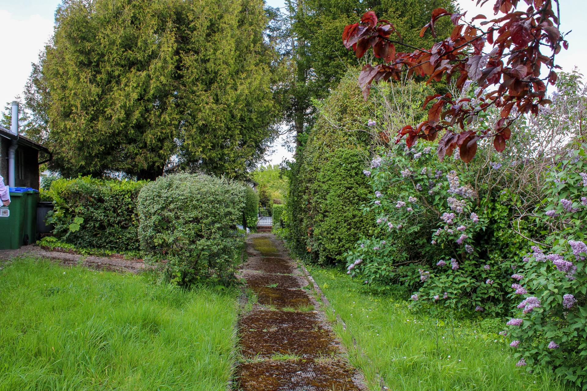 South Way, Lewes, Image 17