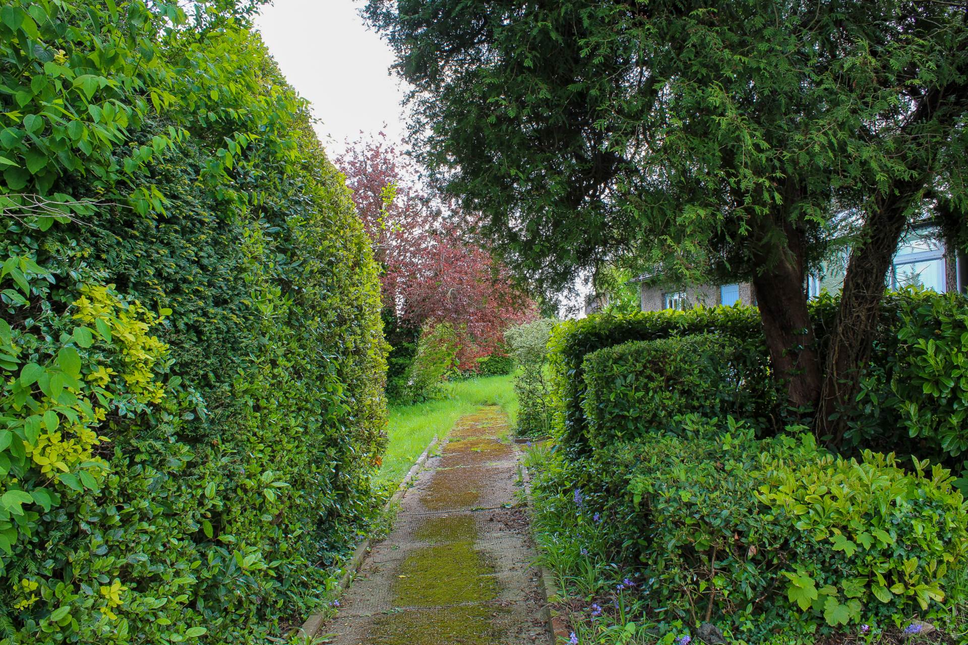 South Way, Lewes, Image 19