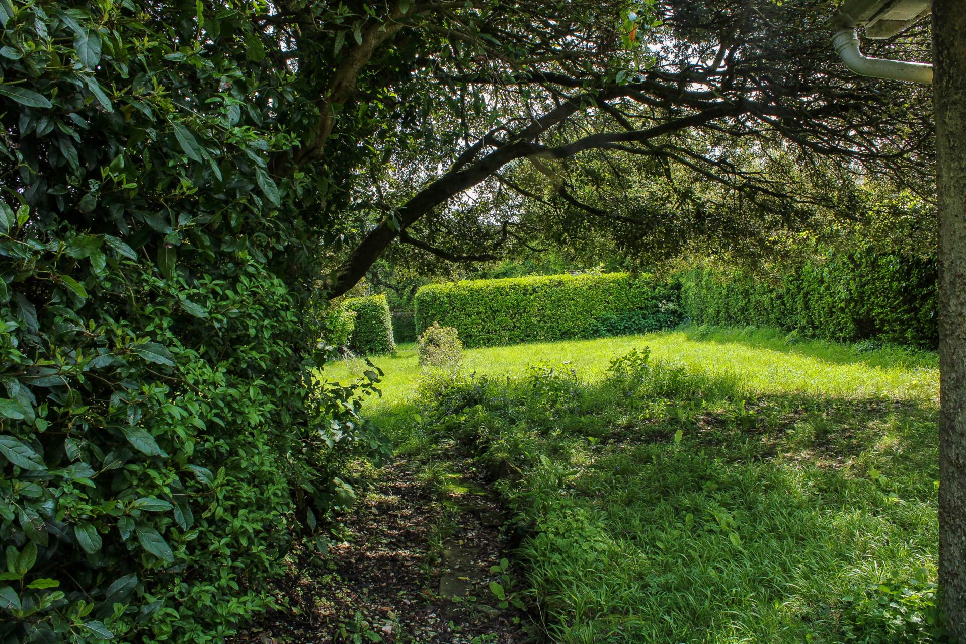 South Way, Lewes, Image 20